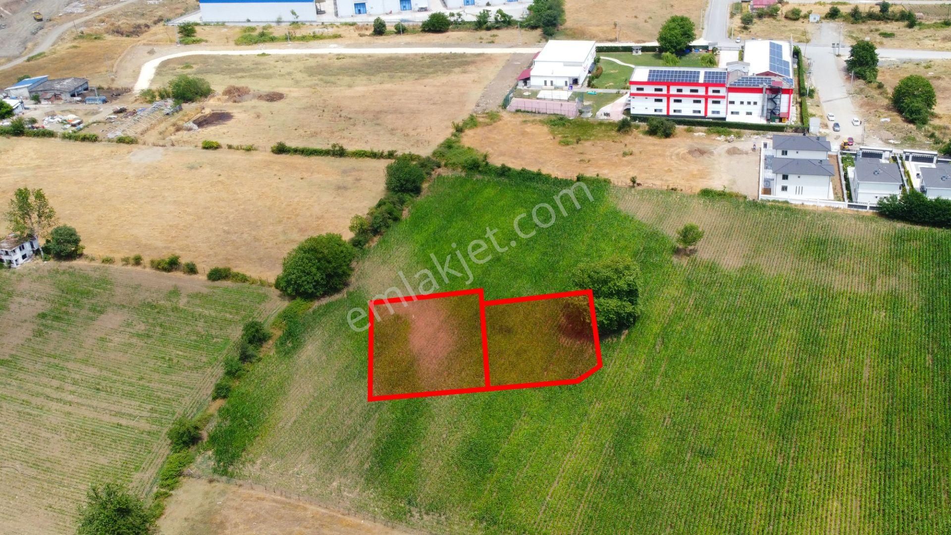Arapçiftliği | Villa Yapımına Uygun Satılık 647 M2'lik Parseller