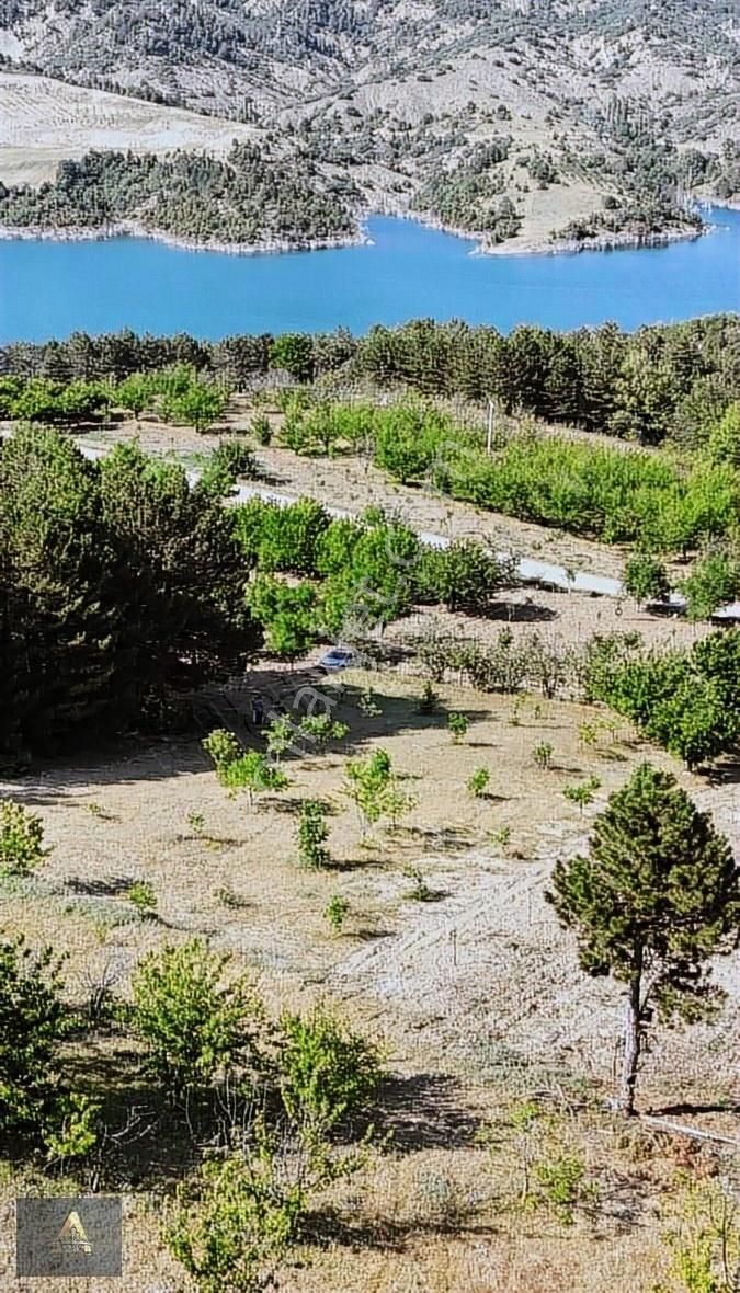 Bilecik Gölpazarı Softalr Köyünde Baraj Manzara Lı