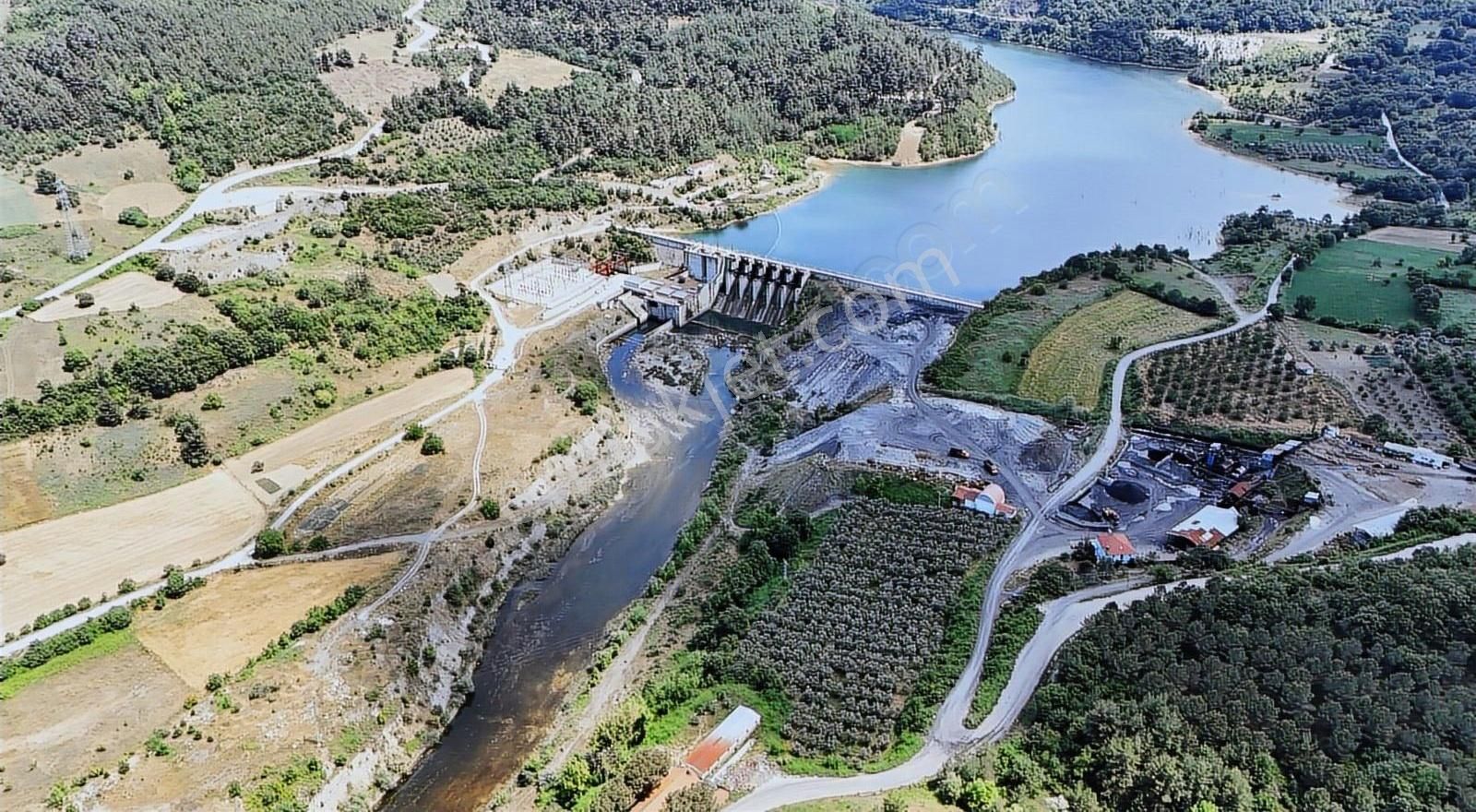 300 Adet 57 Yaşinda Zeytin Ağacı Asfalt Yola Cephe 10500m2 Tarla - Görsel 3
