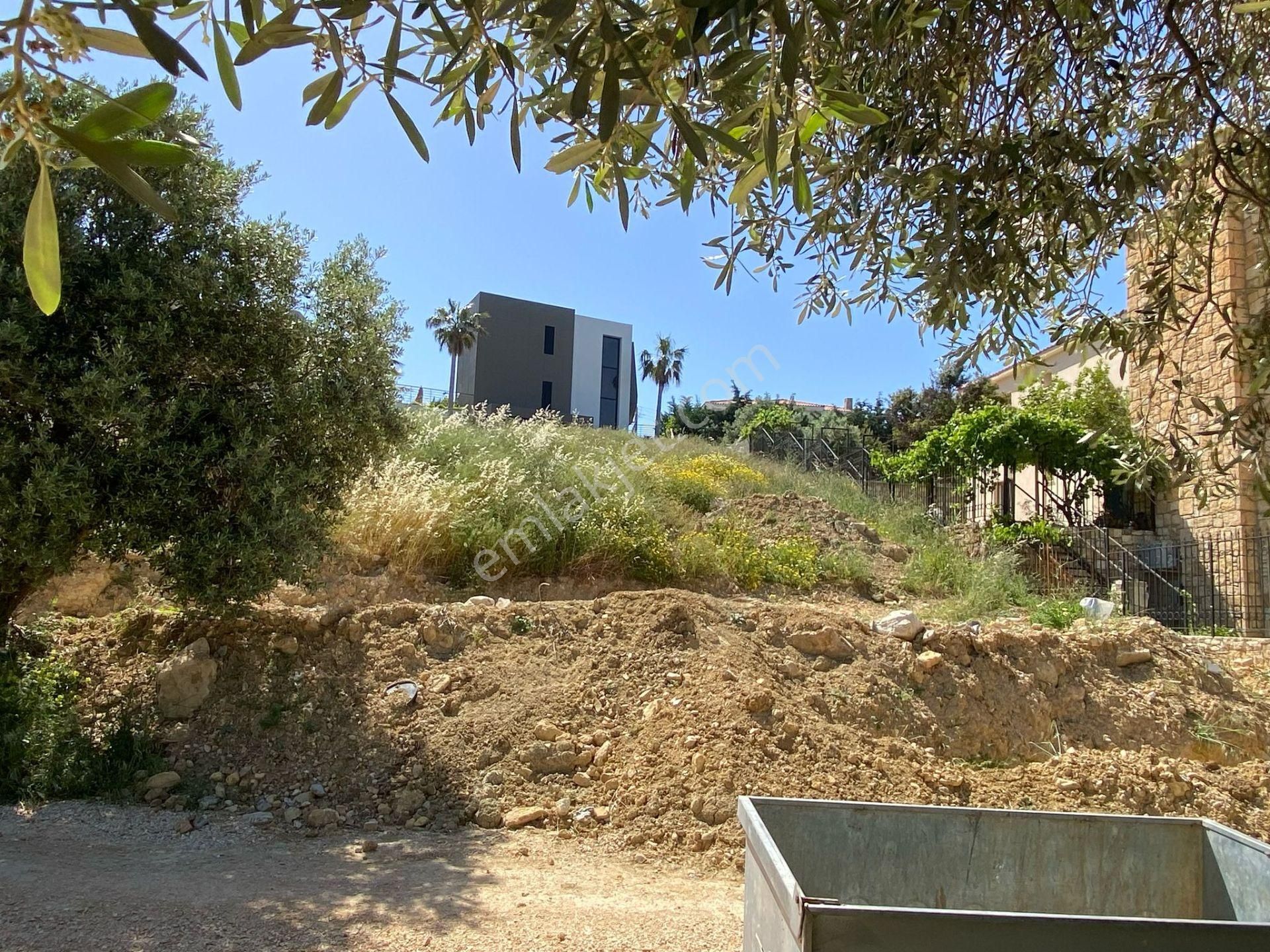 Çeşme Musalla 800 M2 İmarlı Arsa - Görsel 12