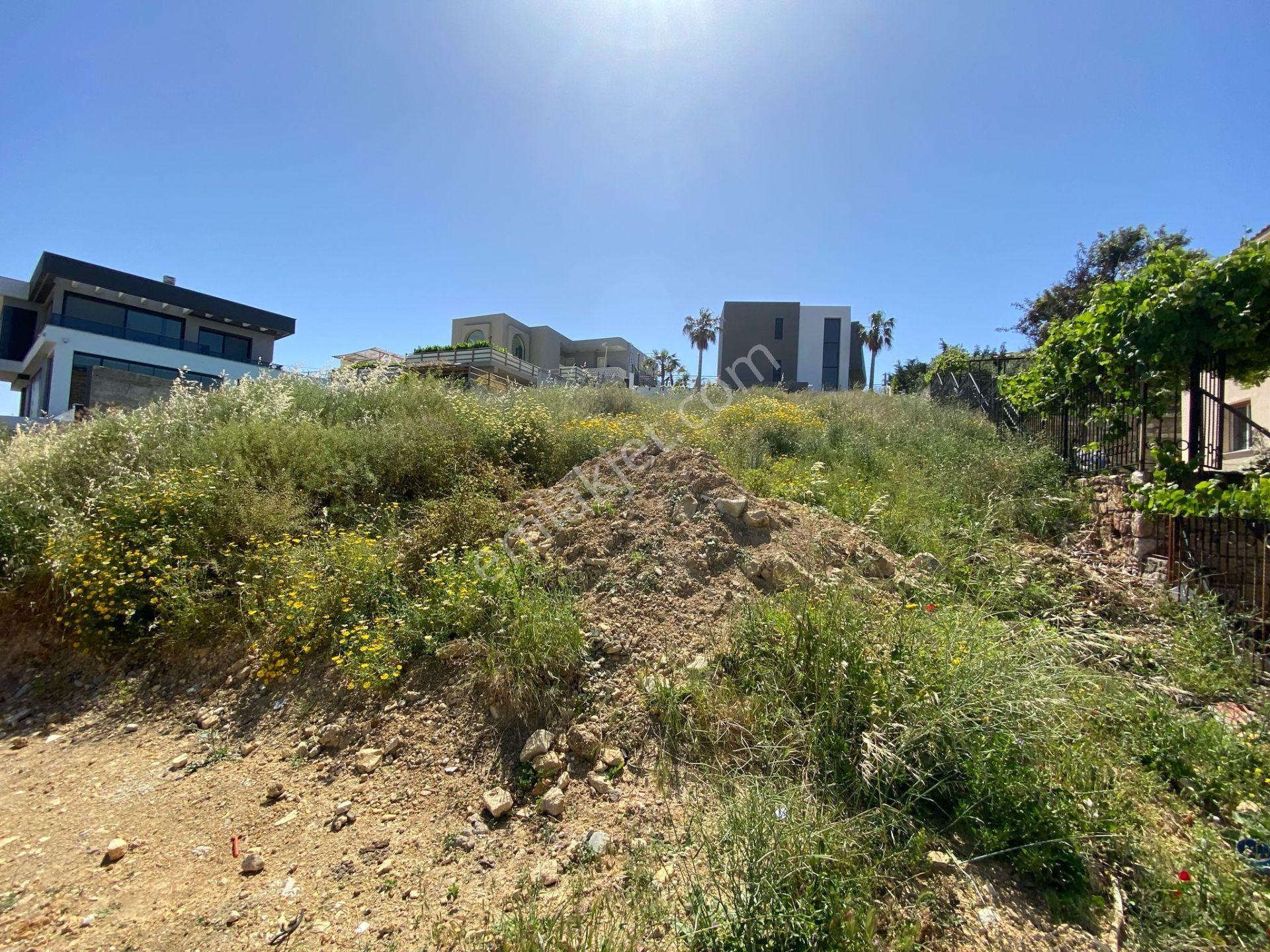 Çeşme Musalla 800 M2 İmarlı Arsa - Görsel 10