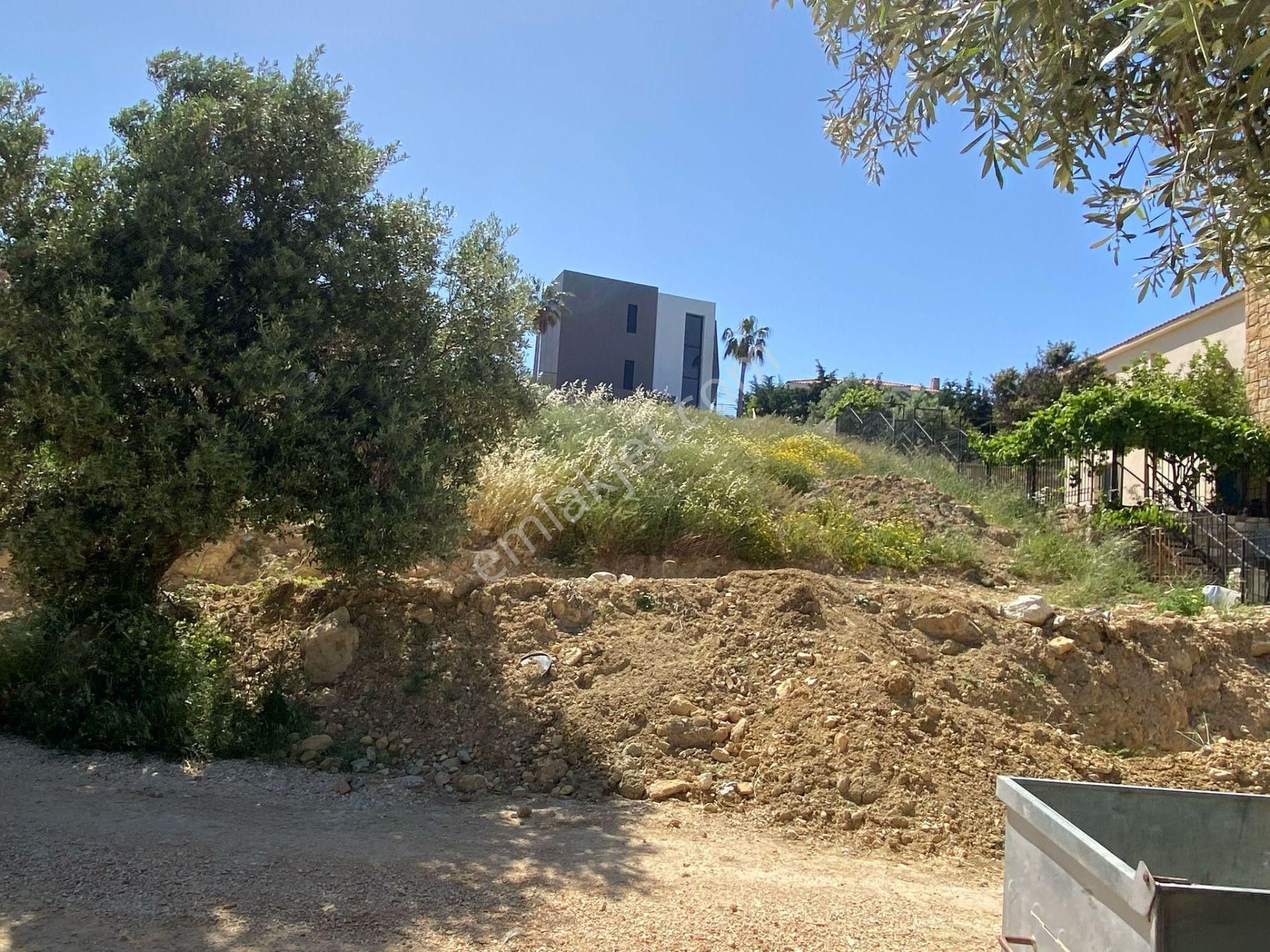 Çeşme Musalla 800 M2 İmarlı Arsa - Görsel 7