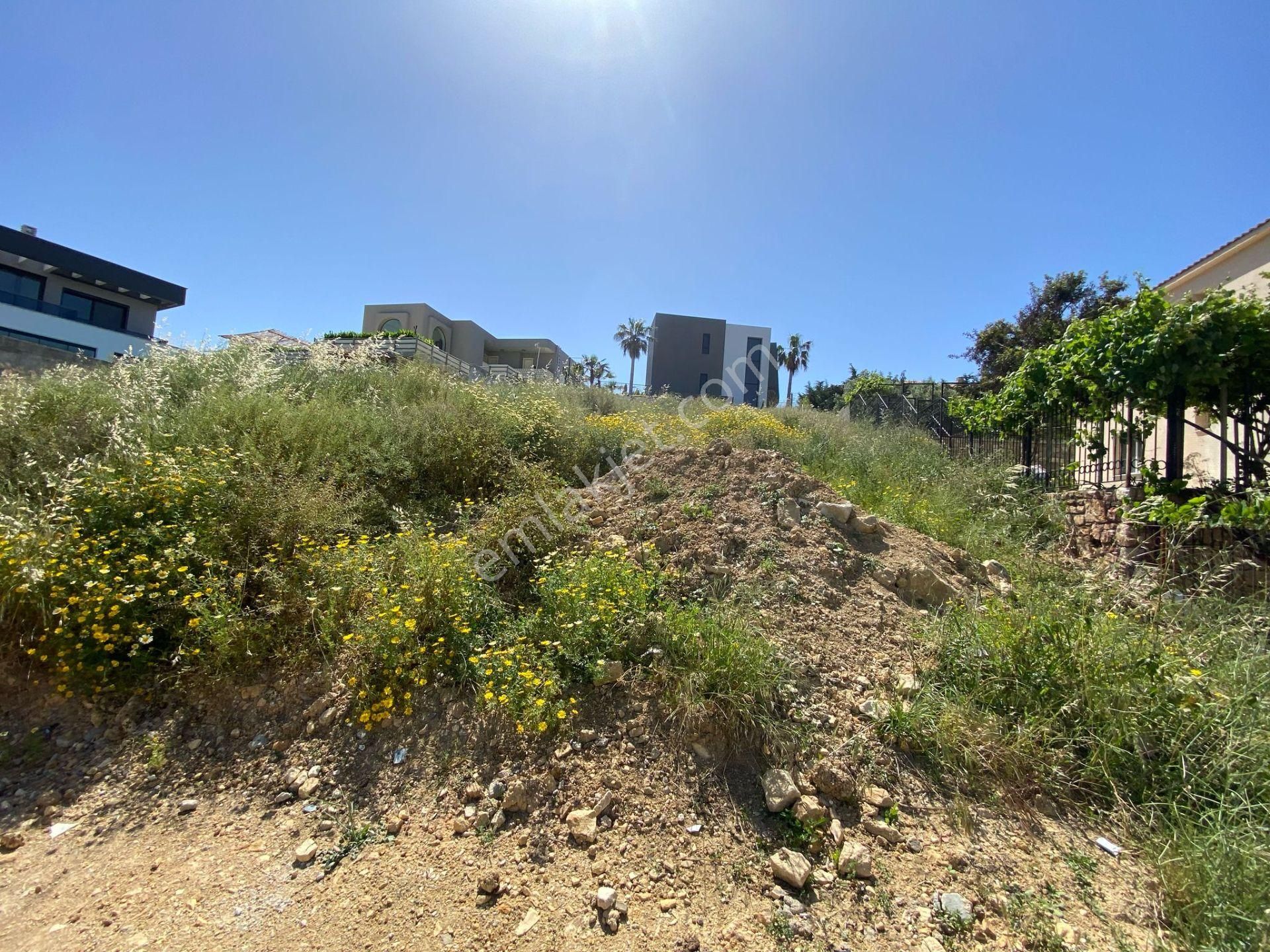 Çeşme Musalla 800 M2 İmarlı Arsa - Görsel 13