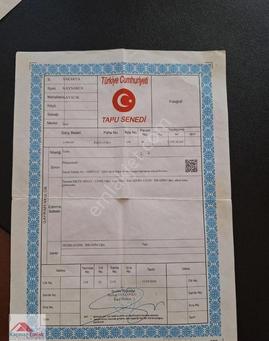 Sakarya Kaynarcada 9 Dönüm Satılık Fındıklık - Görsel 11