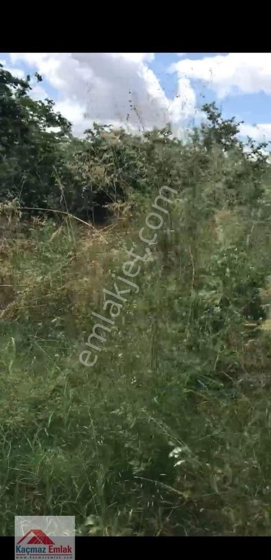 Sakarya Kaynarcada 9 Dönüm Satılık Fındıklık - Görsel 19