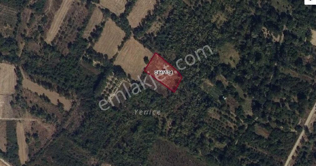 Akçay Emlak'tan Akşehir Doğrugöz Mahallesinde Satılık Bahçe - Görsel 20