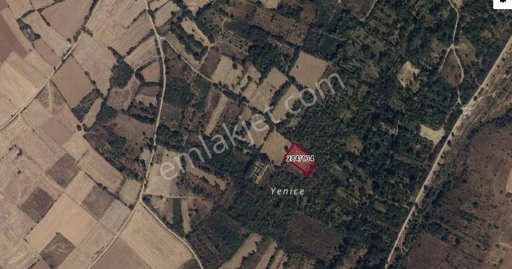 Akçay Emlak'tan Akşehir Doğrugöz Mahallesinde Satılık Bahçe - Görsel 4