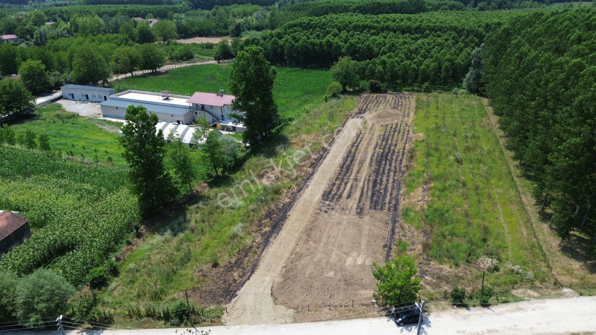 Düzce Ballıcada Ballı Fırsat! 711m2 Konut İmarlı Satılık Arsa!