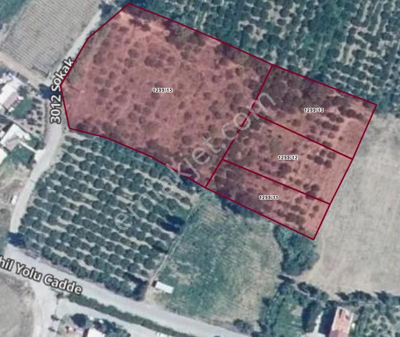 İzmir Menderes Özderede Satılık Yatırıma Açık Tarla - Görsel 6