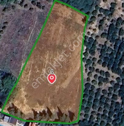 İzmir Menderes Özderede Satılık Yatırıma Açık Tarla - Görsel 2