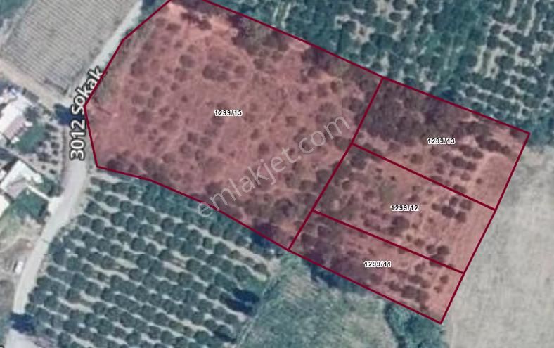 İzmir Menderes Özderede Satılık Yatırıma Açık Tarla - Görsel 5