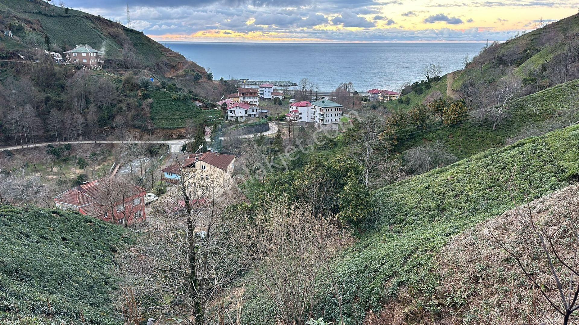 Ardeşende İmarlı Deniz Manzaralı 10 Dönüm Arsa