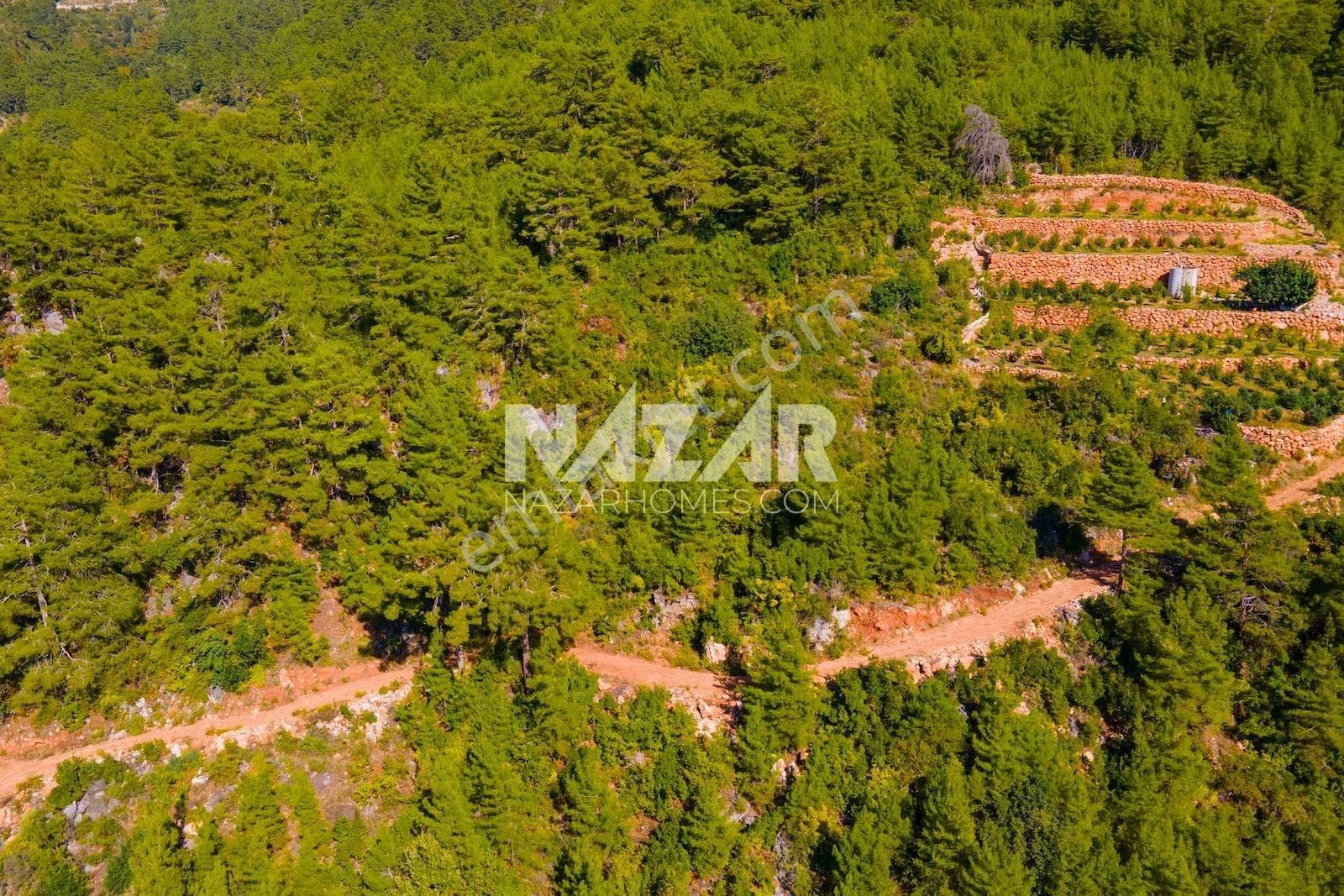 Alanya Obaalacami Mahallesi'nde Satılık 2.001 M² Tarla