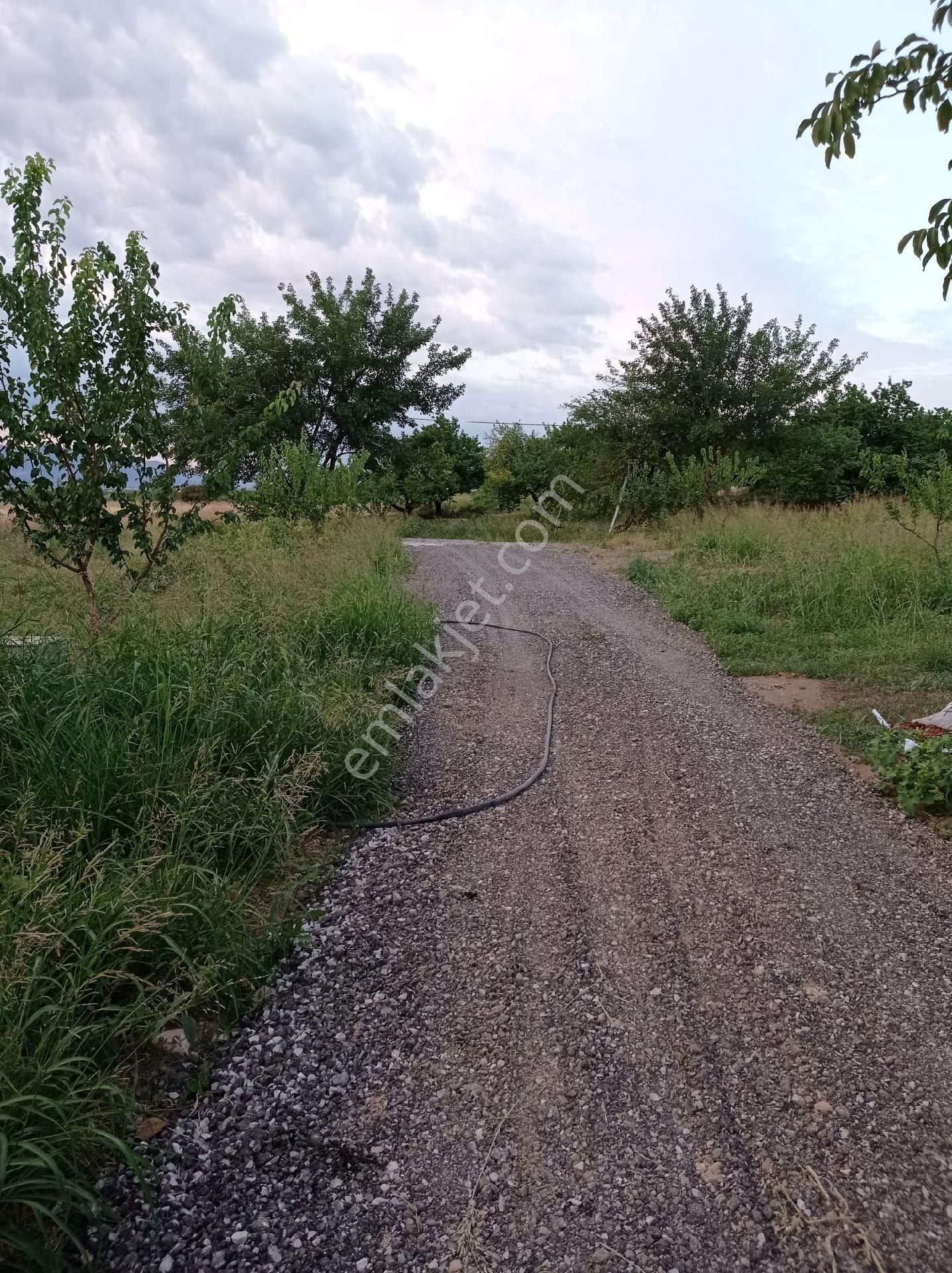 Akçadağ Mihmanlıda Satılık Bahçe