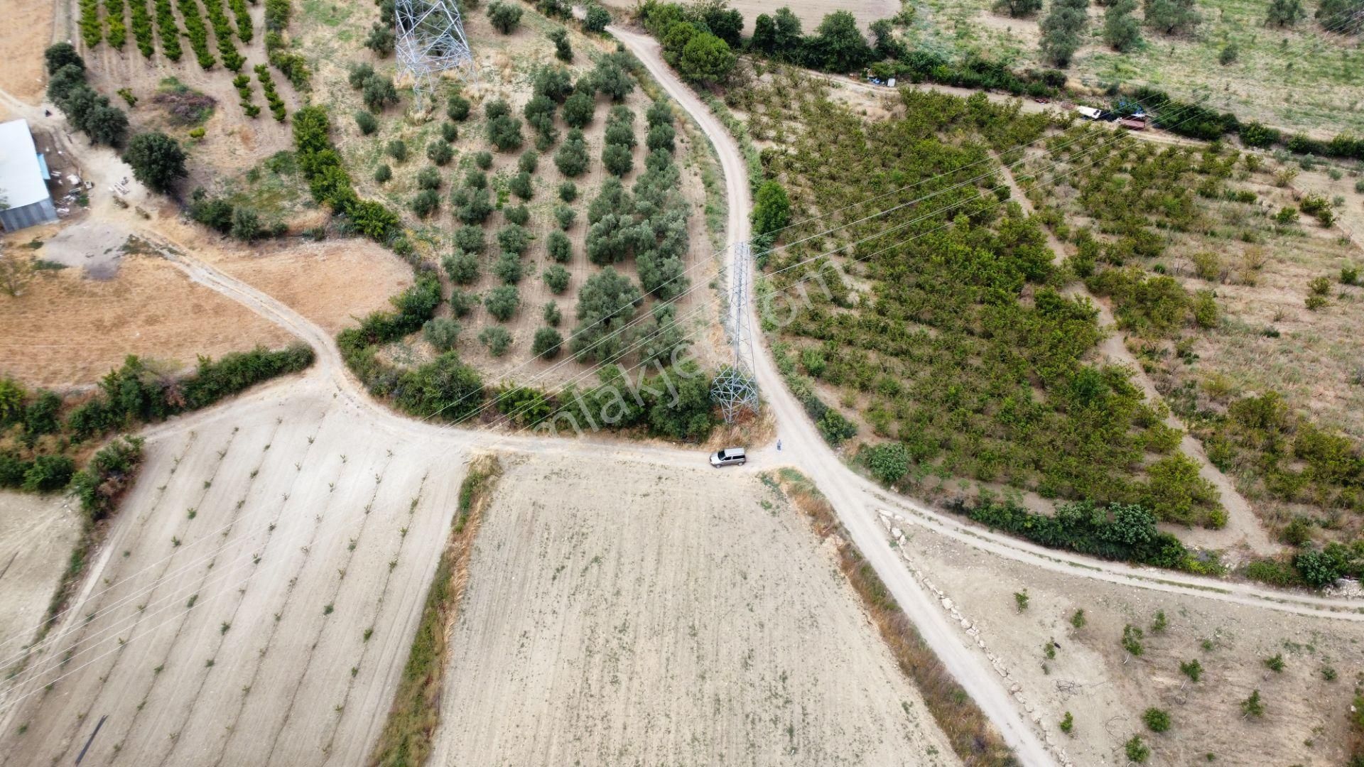 Musaköy'de 4800 M2 Kadastrol Yola Cepheli Satılık Tarla Han Emlak'tan - Görsel 10