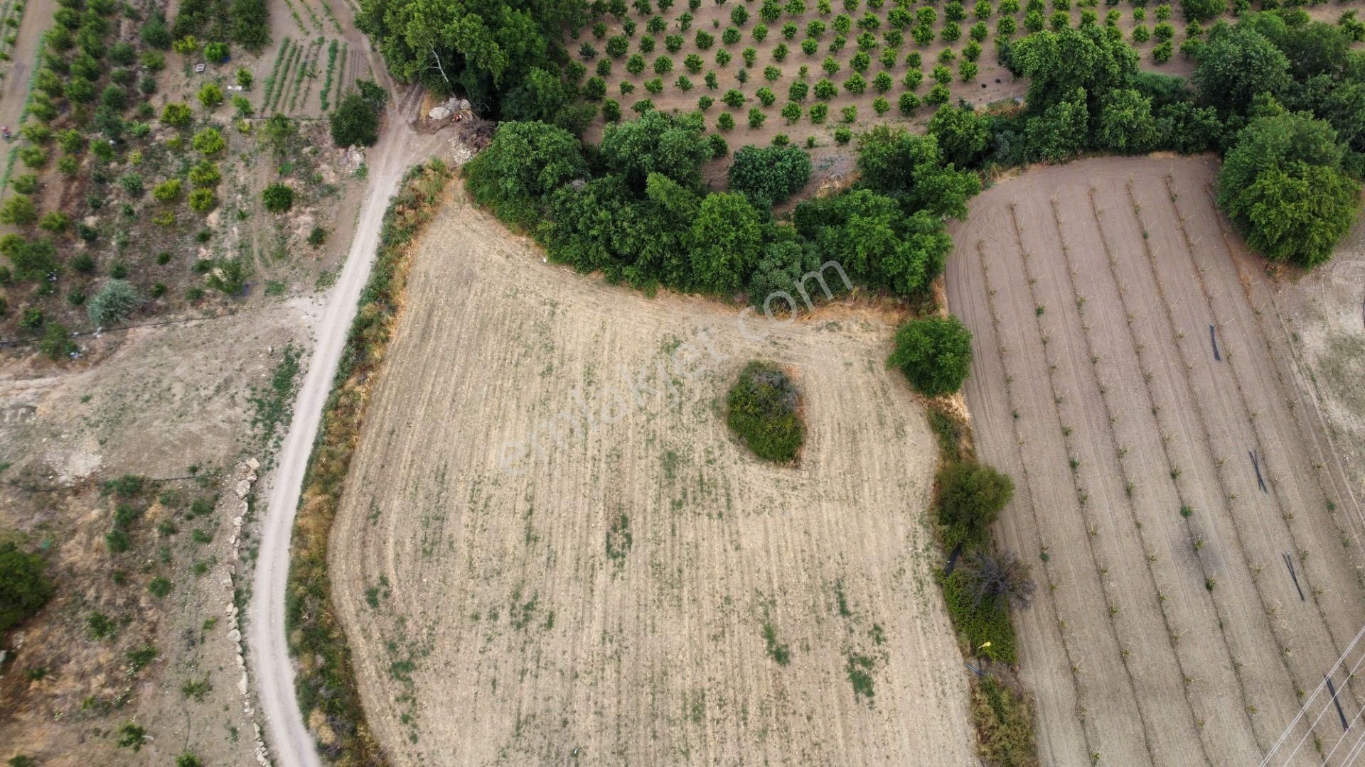 Musaköy'de 4800 M2 Kadastrol Yola Cepheli Satılık Tarla Han Emlak'tan - Görsel 3