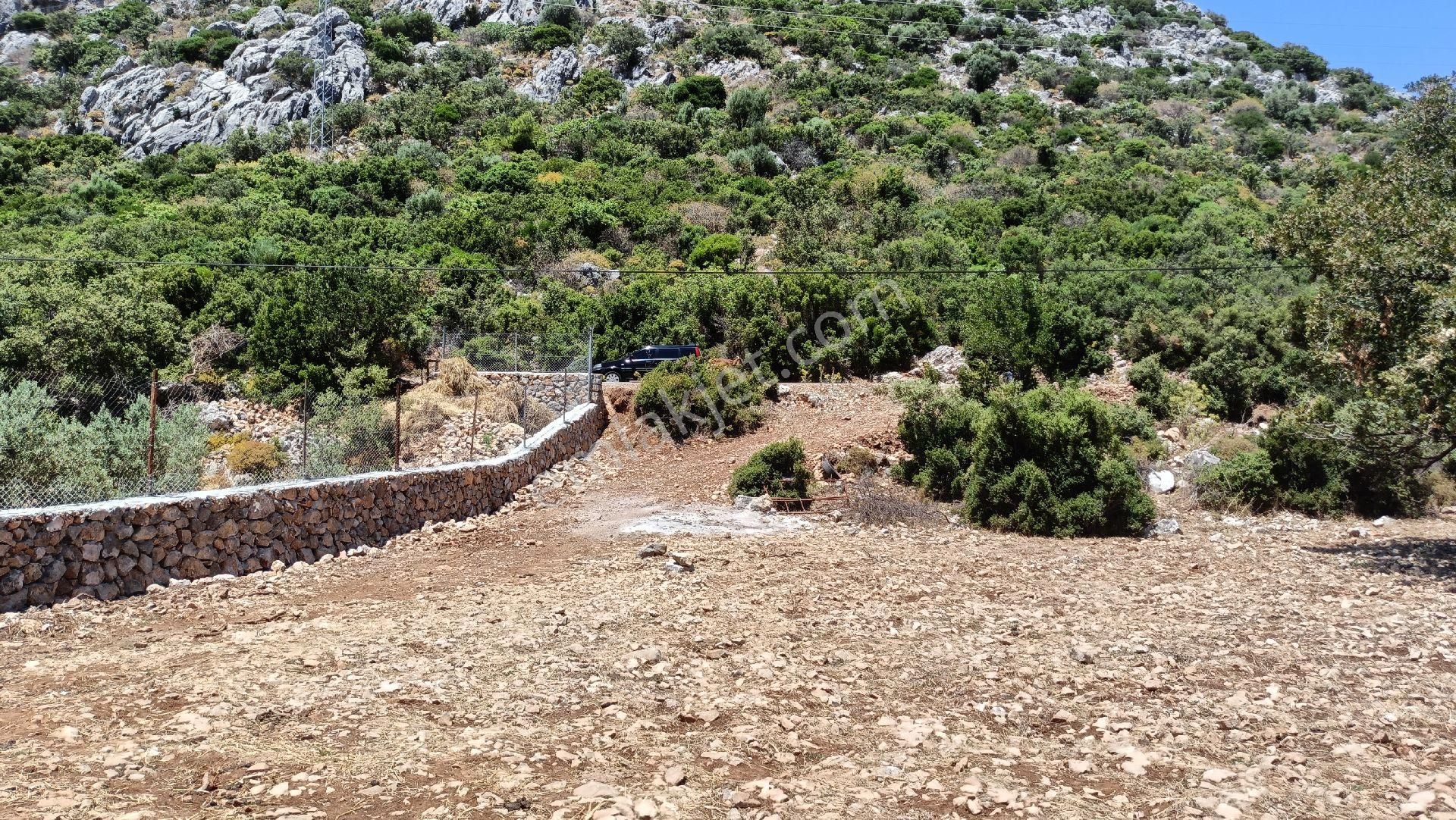 Joker: Marmaris Söğüt Düzlük Alan Araç Yolu Açık Satılık Tarla
