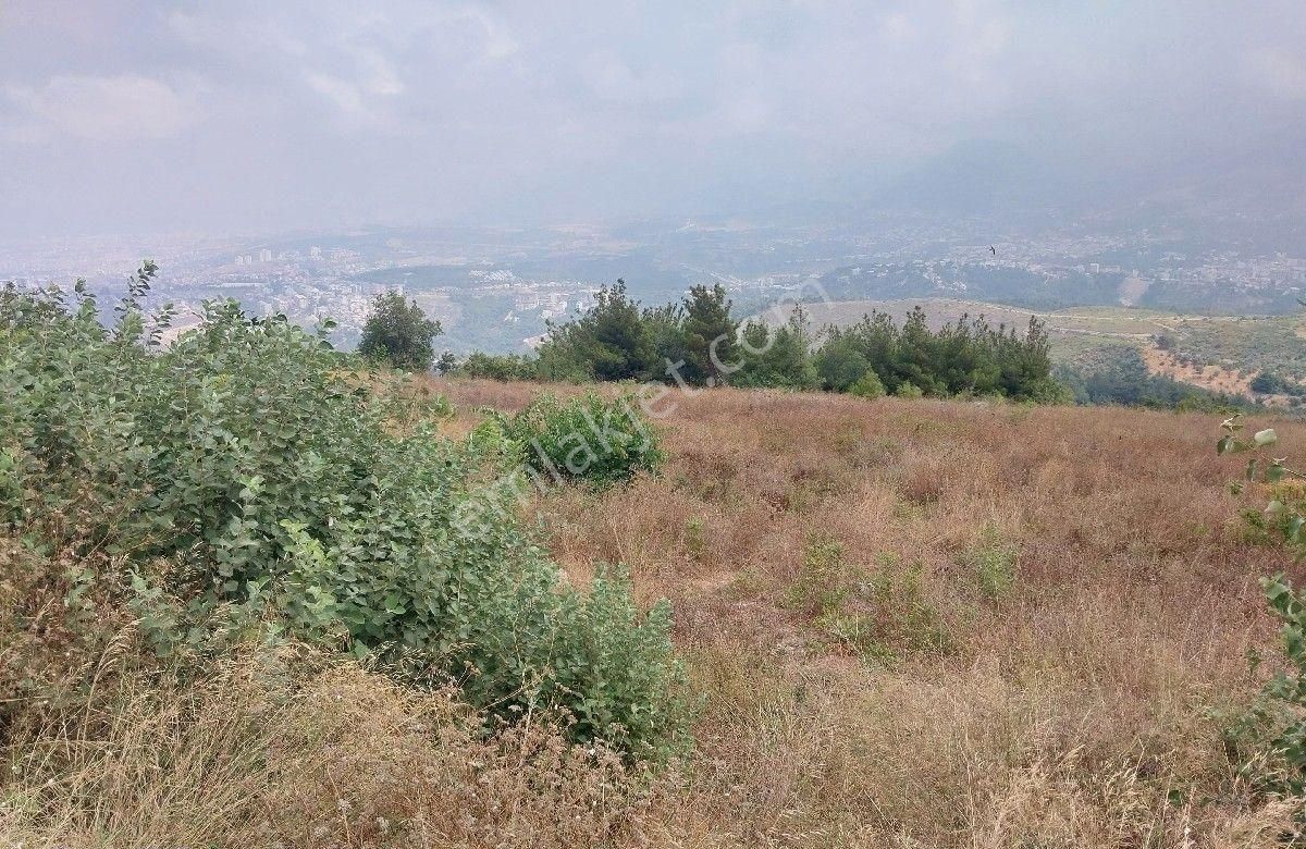 Belen Müftülerde Yol Kenarı Önü Açık İmarlı Arsa