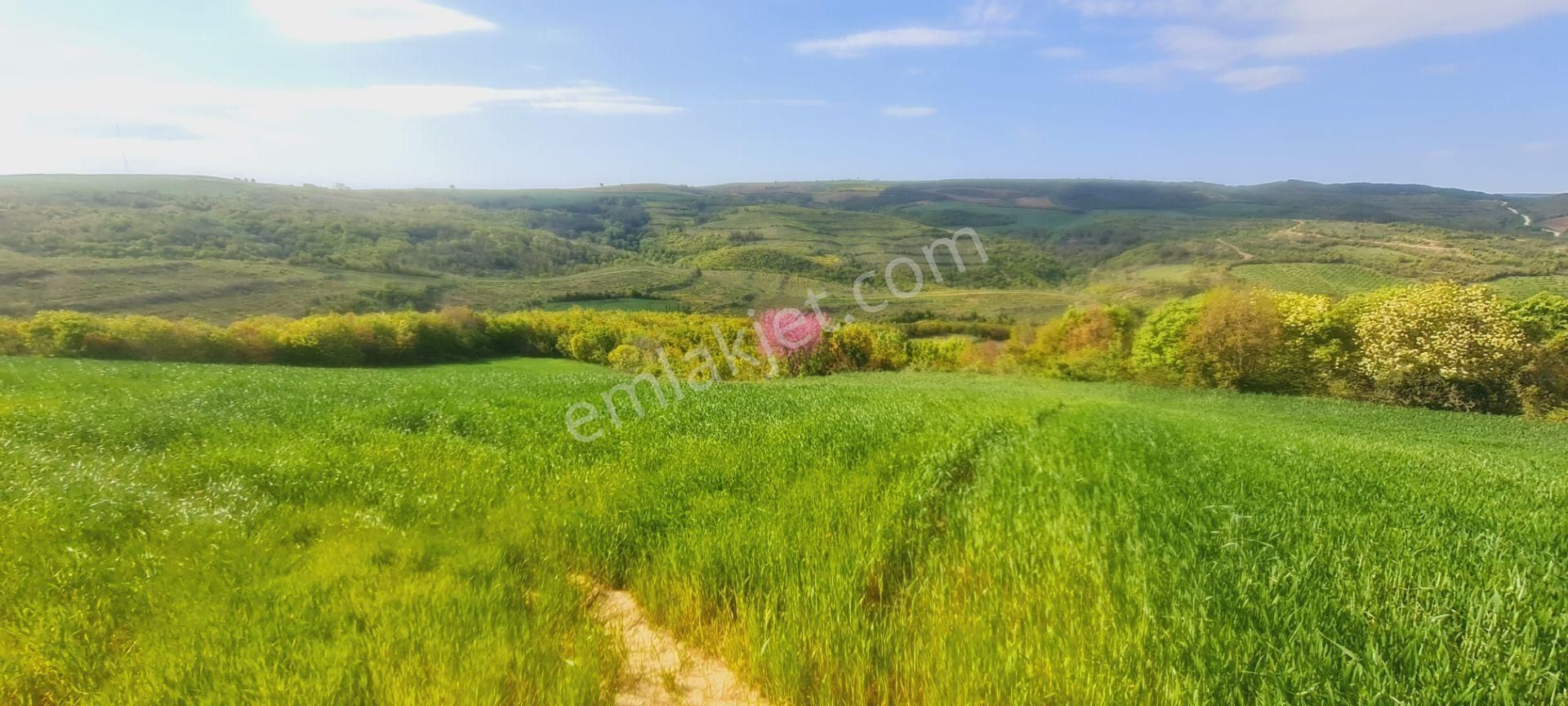 Edirne'de Yatırımlık 200 M2 Arsa 95.000 ₺