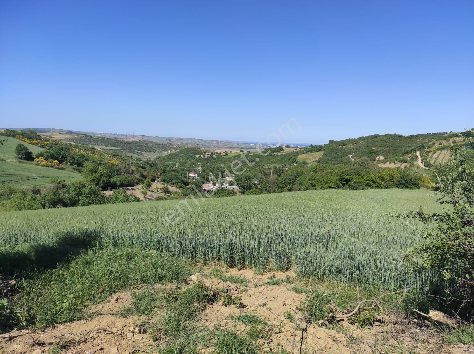 Silivri Değirmenöy'de Kıymetli Konumda 1200m2 Net Arsa