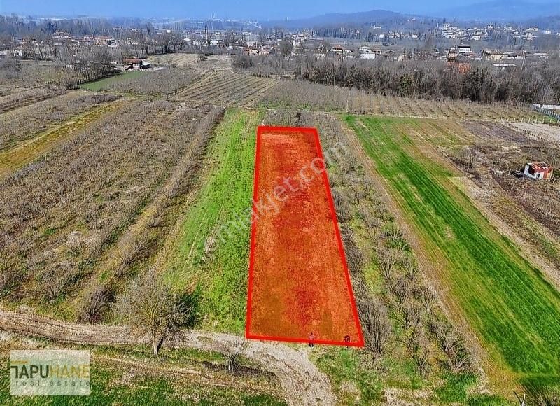 Tapuhaneden A.çalıca Mah. De Köy İçinde 730 M2 Satılık Arsa !!