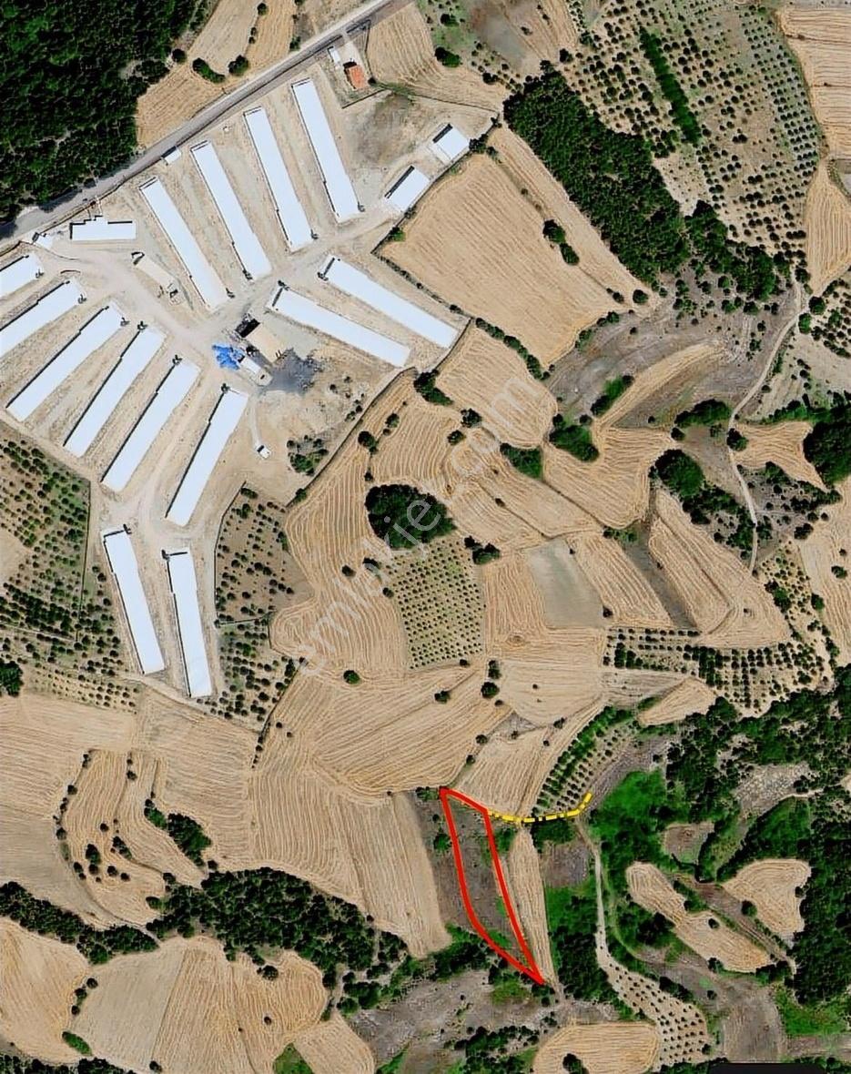 Yenipazar Olucakta Araç Takaslı 1500 M2 Arsa - Görsel 3