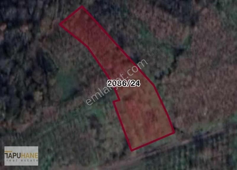 Tapuhane'den Satılık 2880 M2 Fındıklık - Görsel 3