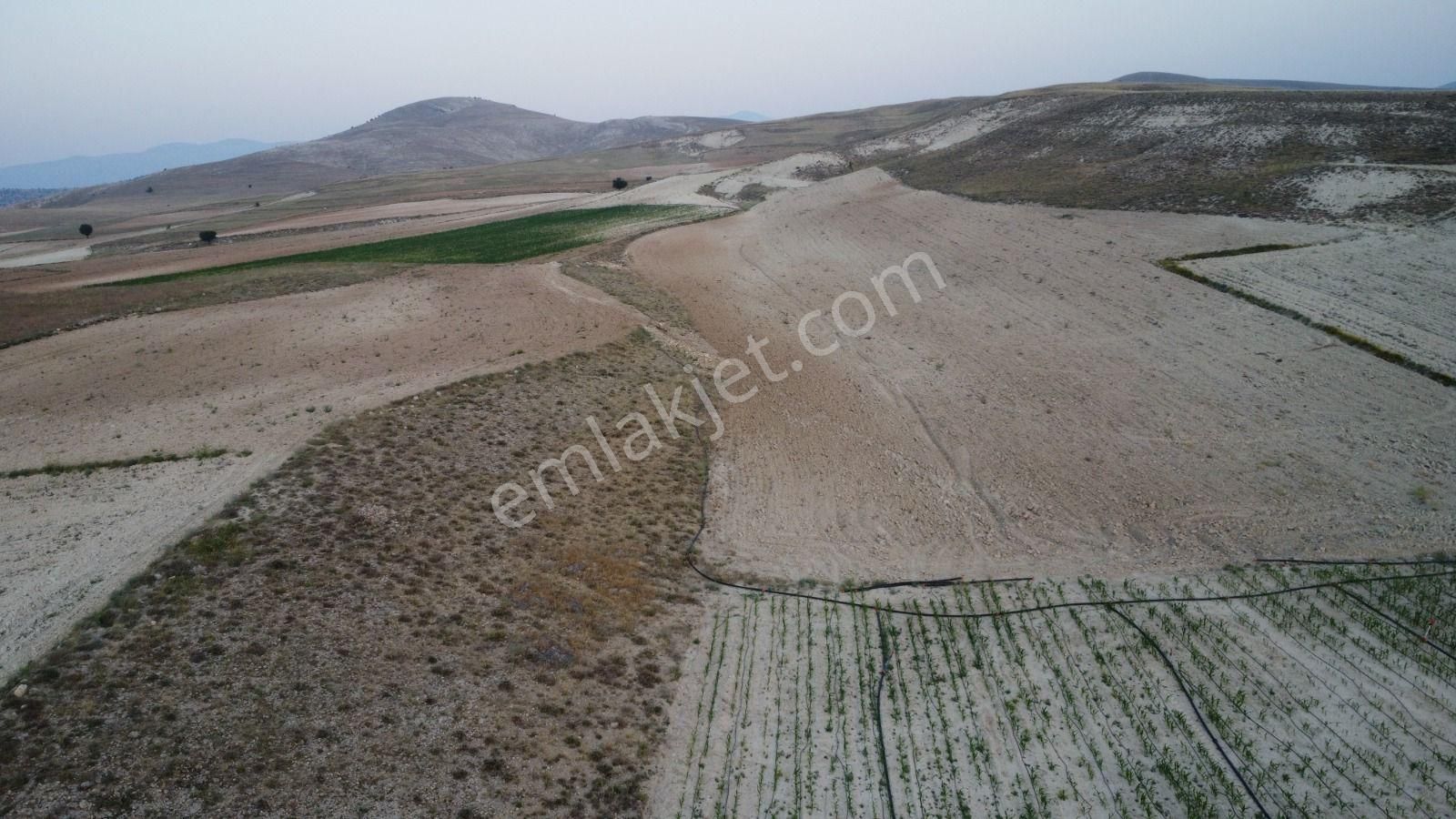 Beğiş Mahallesi. Yatırımlık Tarla