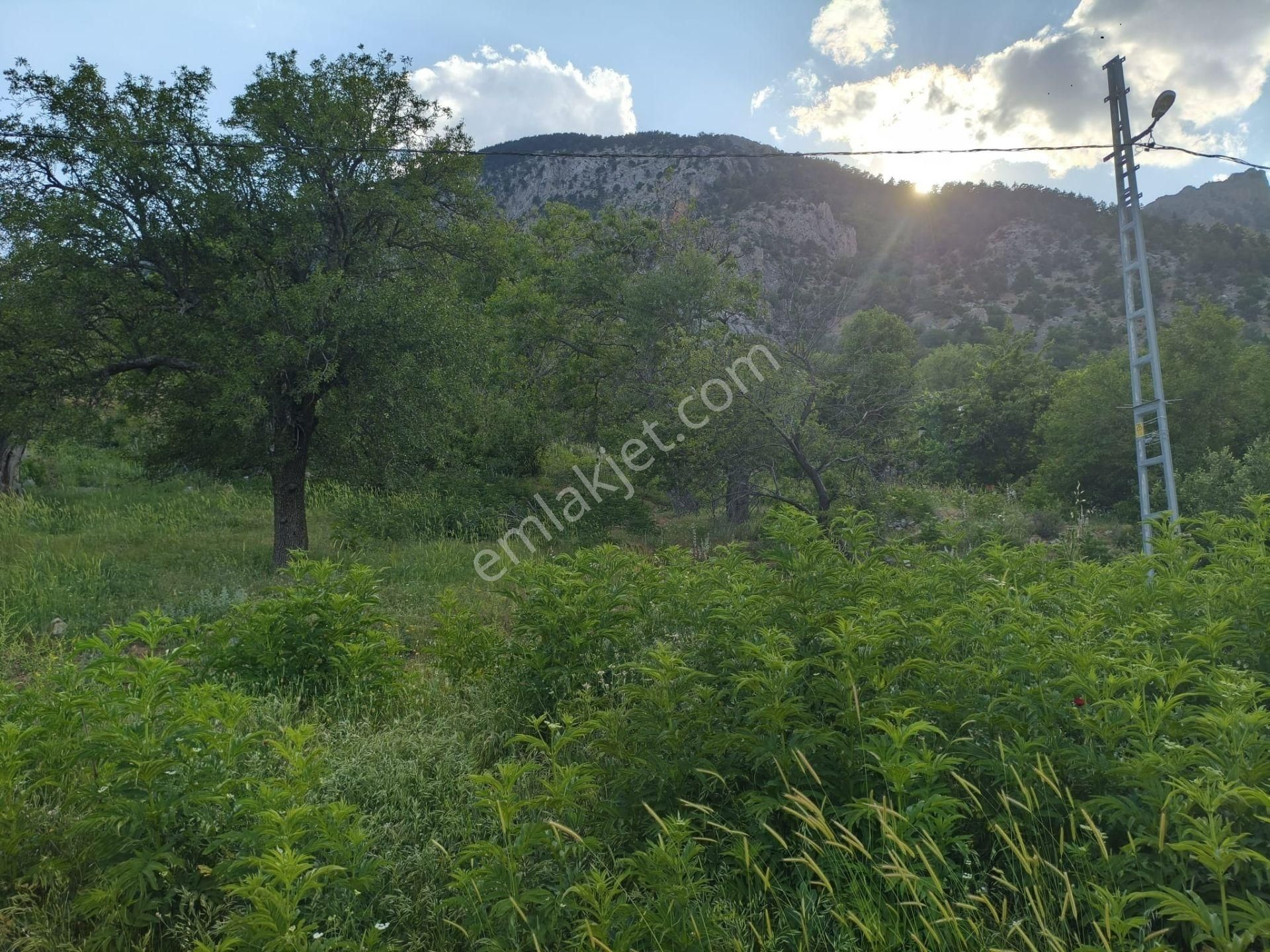 Pozantı Kar Emlaktan Akçatekir Çıralı Mevkiinde Doğa Manzaralı Satılık Yaylalık 385 M2 Arsa