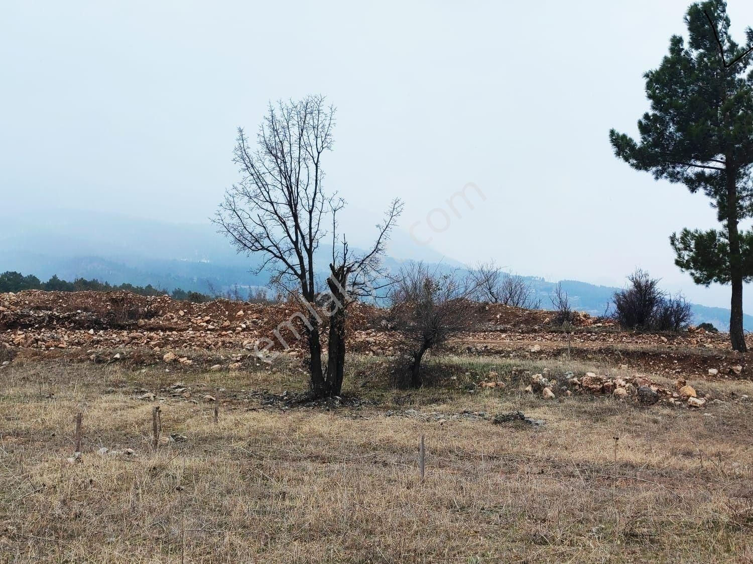 Pozantı Kar Emlaktan Alpu Yaylasında Doğa Manzaralı İmarlı İfrazlı Yaylalık Satılık 400 M2 Arsa - Görsel 7
