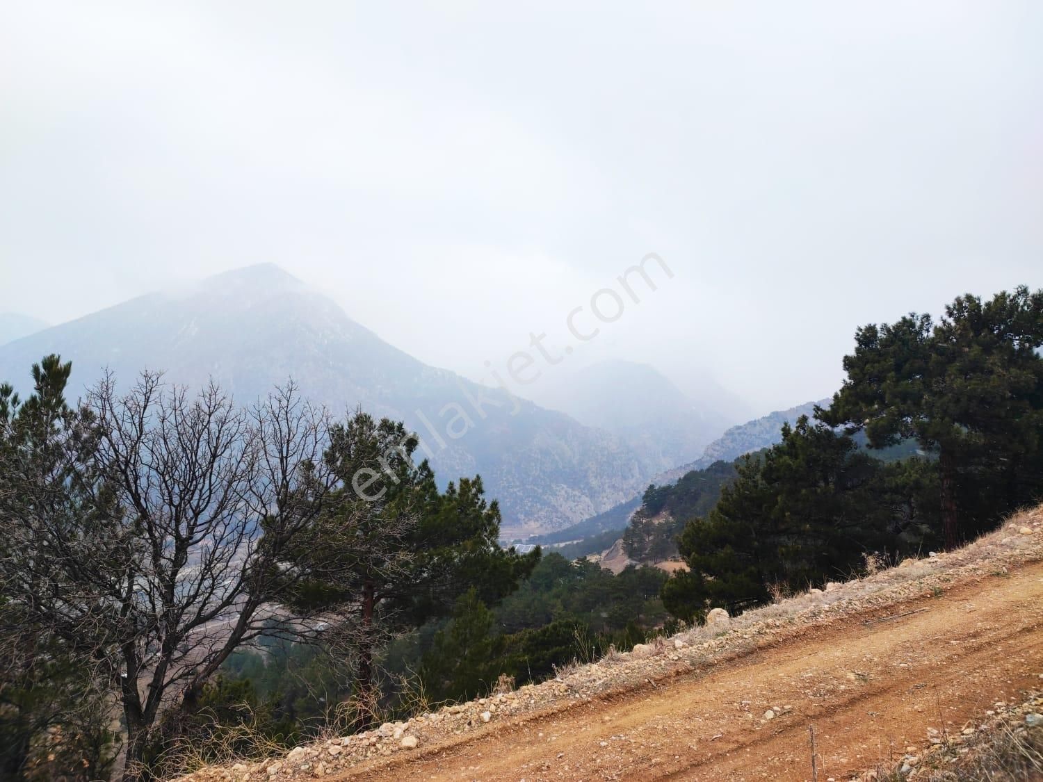 Pozantı Kar Emlaktan Alpu Yaylasında Doğa Manzaralı İmarlı İfrazlı Yaylalık Satılık 400 M2 Arsa - Görsel 12