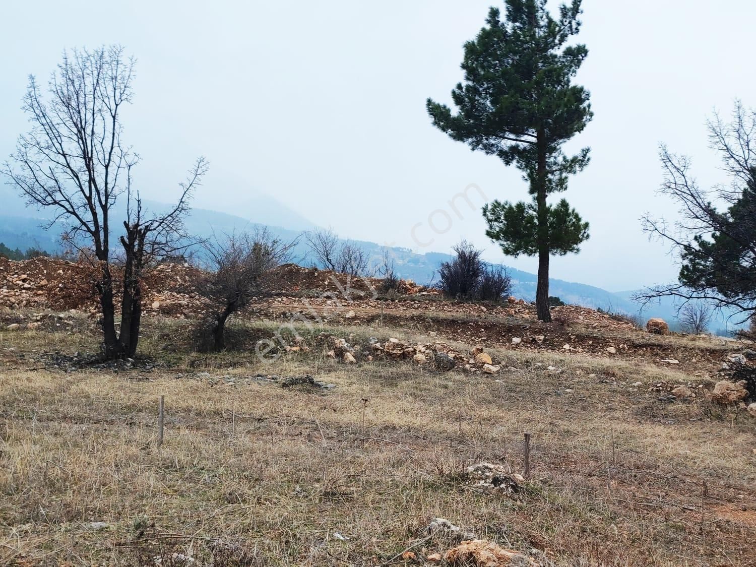 Pozantı Kar Emlaktan Alpu Yaylasında Doğa Manzaralı İmarlı İfrazlı Yaylalık Satılık 400 M2 Arsa - Görsel 14
