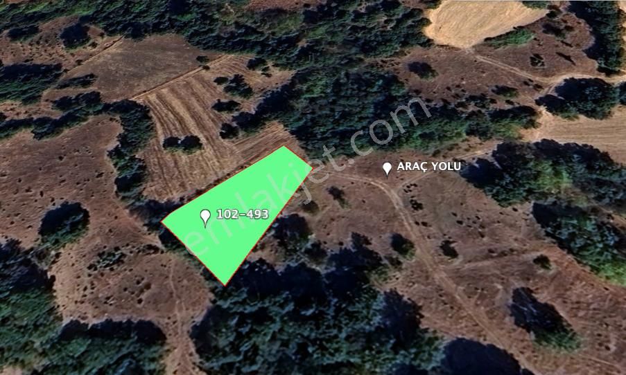 Kepsut Piyade Mahallesinde 1.215 M2 Hobi Bahçesi Fırsat Arazi !