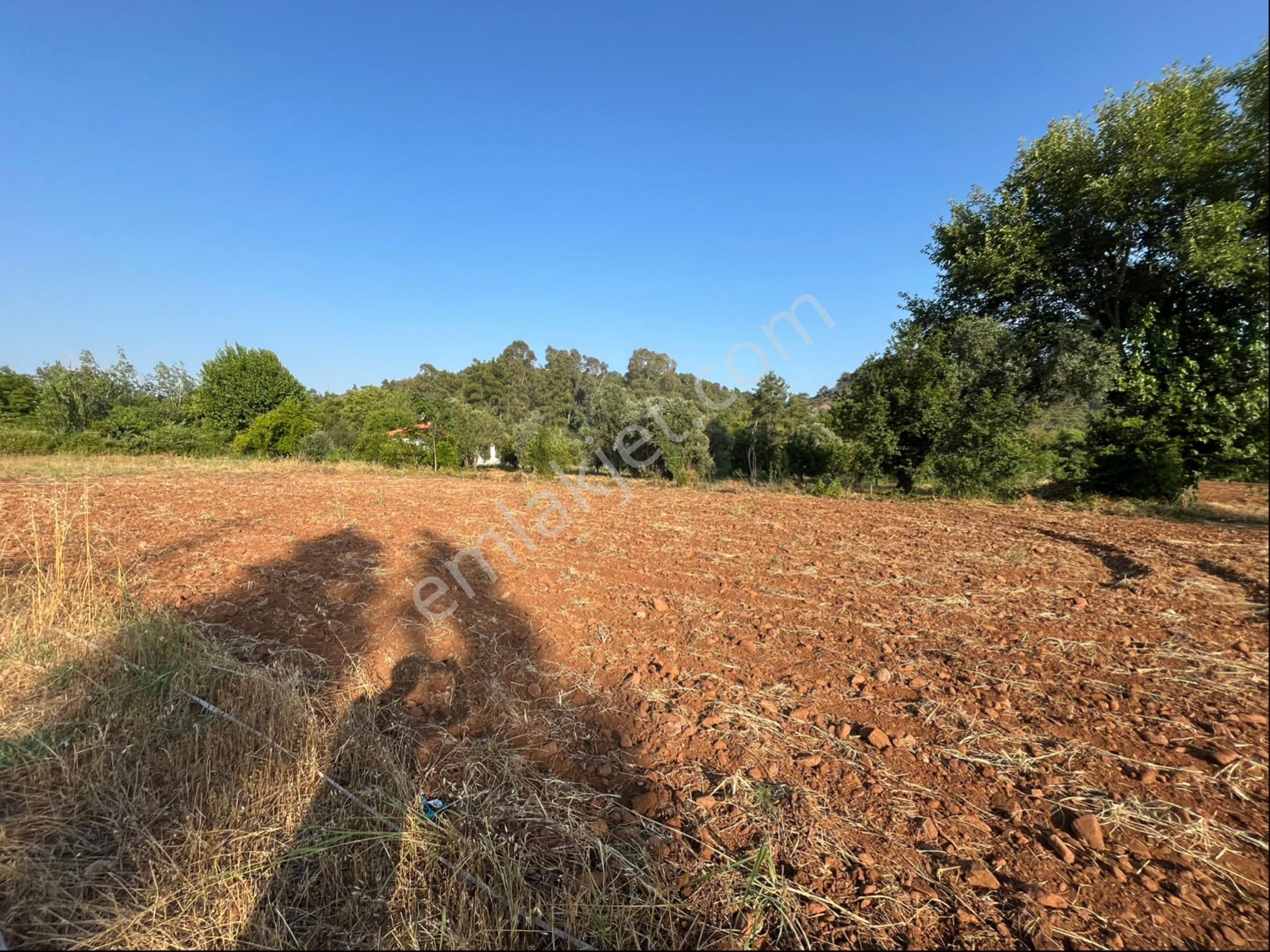 Yuvarlakçay Yolu Üzerinde Rızai Taksimli 560 M2 Tarla