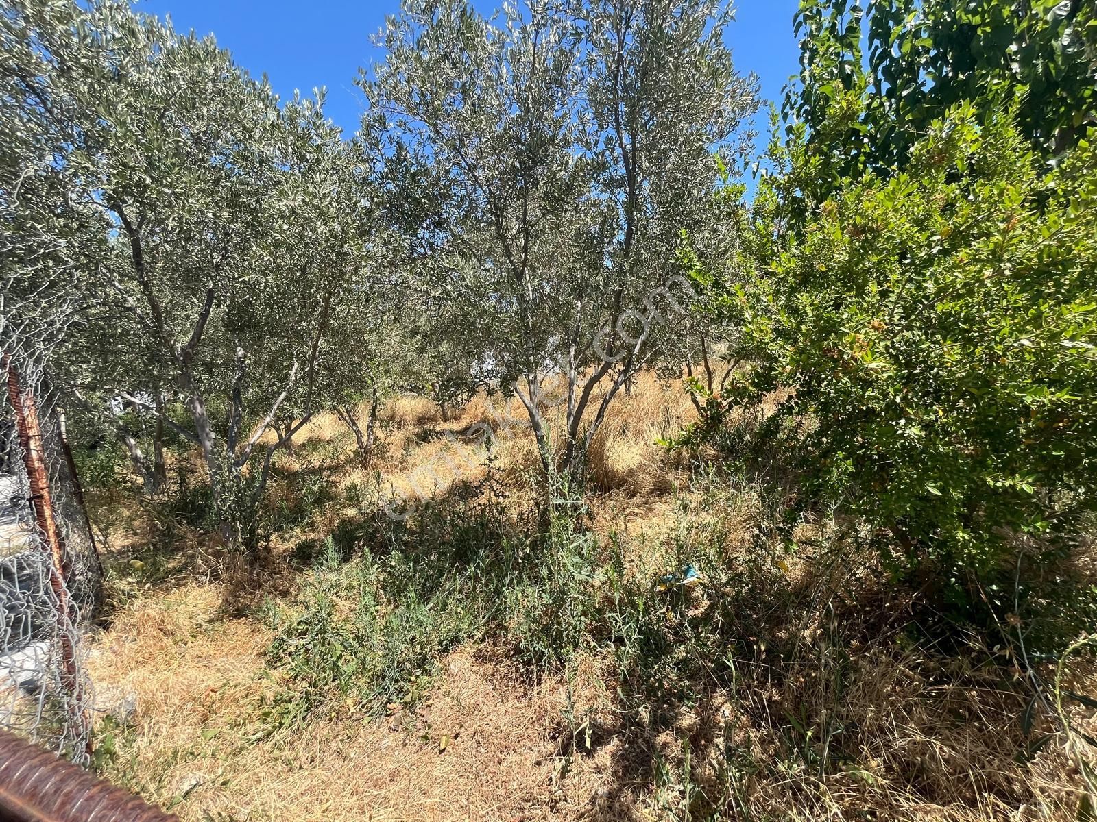 Dalaman Hürriyet Mahallesinde 331m2 İmarlı Kupon Satılık Arsa