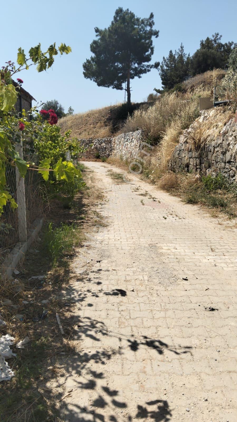 Kuşadası Yaylaköy Bölgesinde İçinde Elektriği Olan - Görsel 12