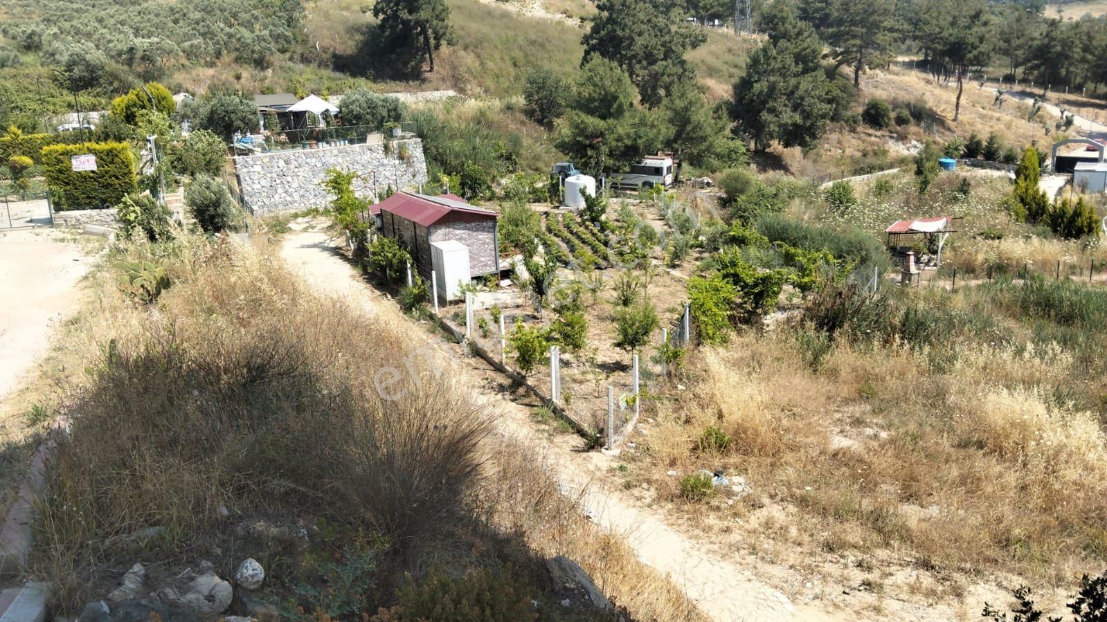 Kuşadası Yaylaköy Bölgesinde İçinde Elektriği Olan - Görsel 2
