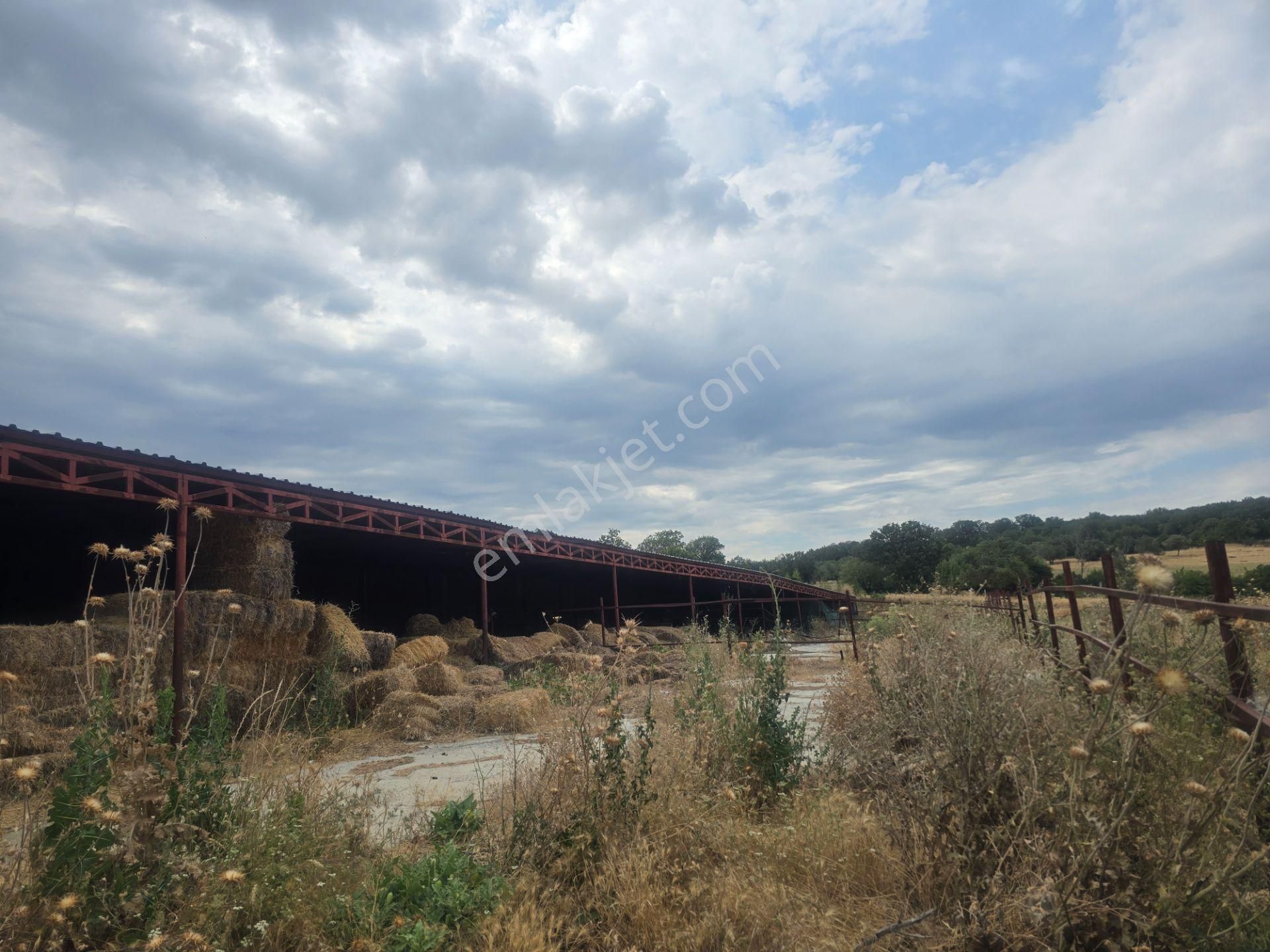 Musaköyde 3750 M2 Satılık Satılık Çiftlik Han Emlak'tan - Görsel 17