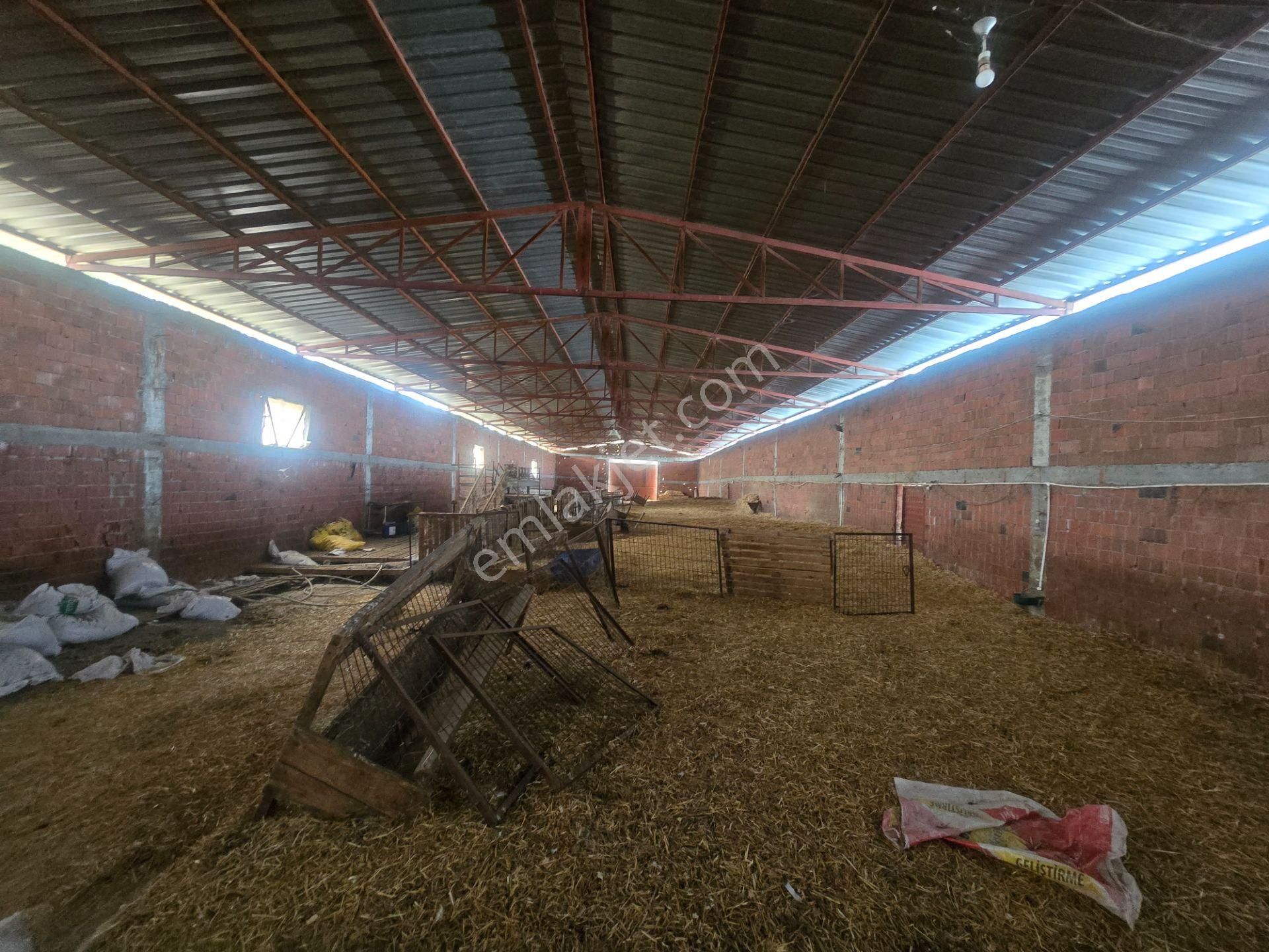 Musaköyde 3750 M2 Satılık Satılık Çiftlik Han Emlak'tan - Görsel 8