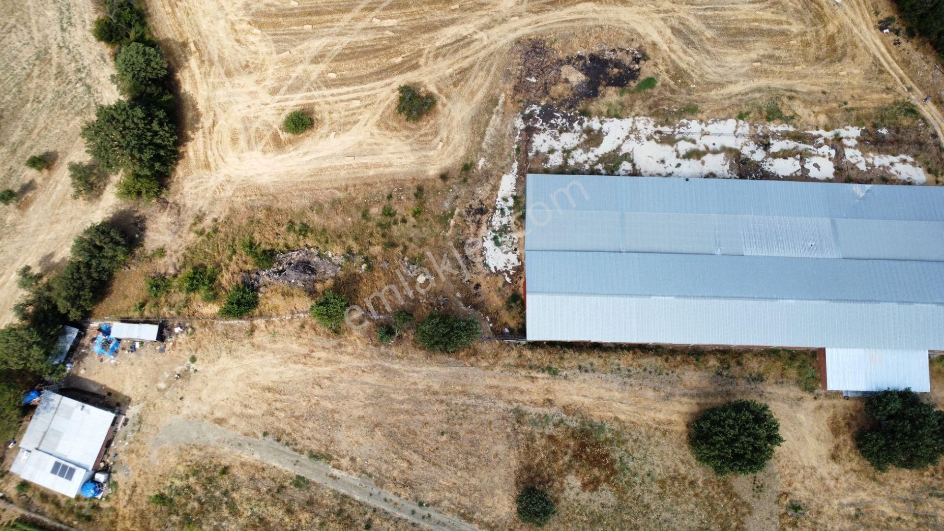 Musaköyde 3750 M2 Satılık Satılık Çiftlik Han Emlak'tan - Görsel 25