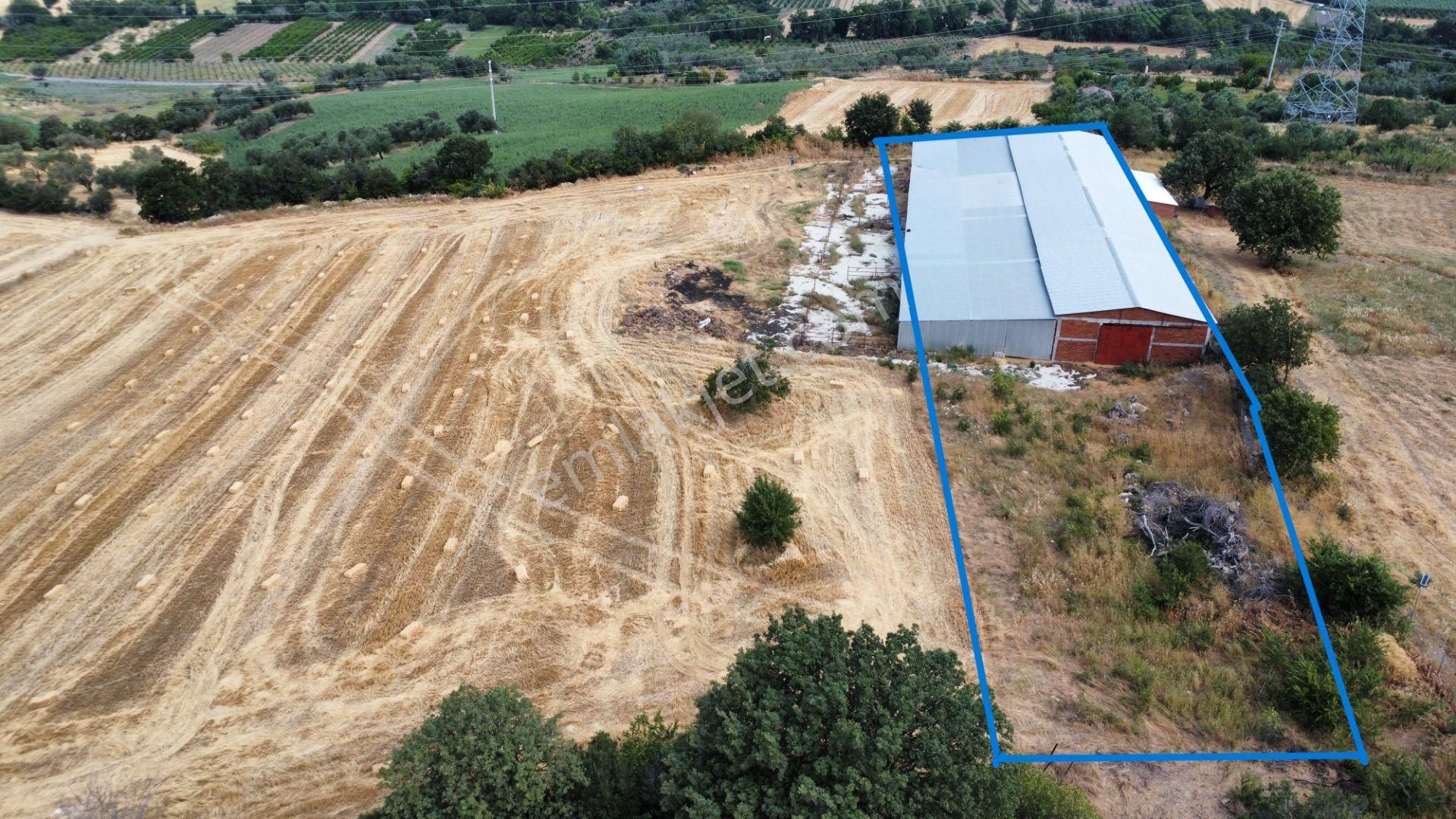 Musaköyde 3750 M2 Satılık Satılık Çiftlik Han Emlak'tan - Görsel 4