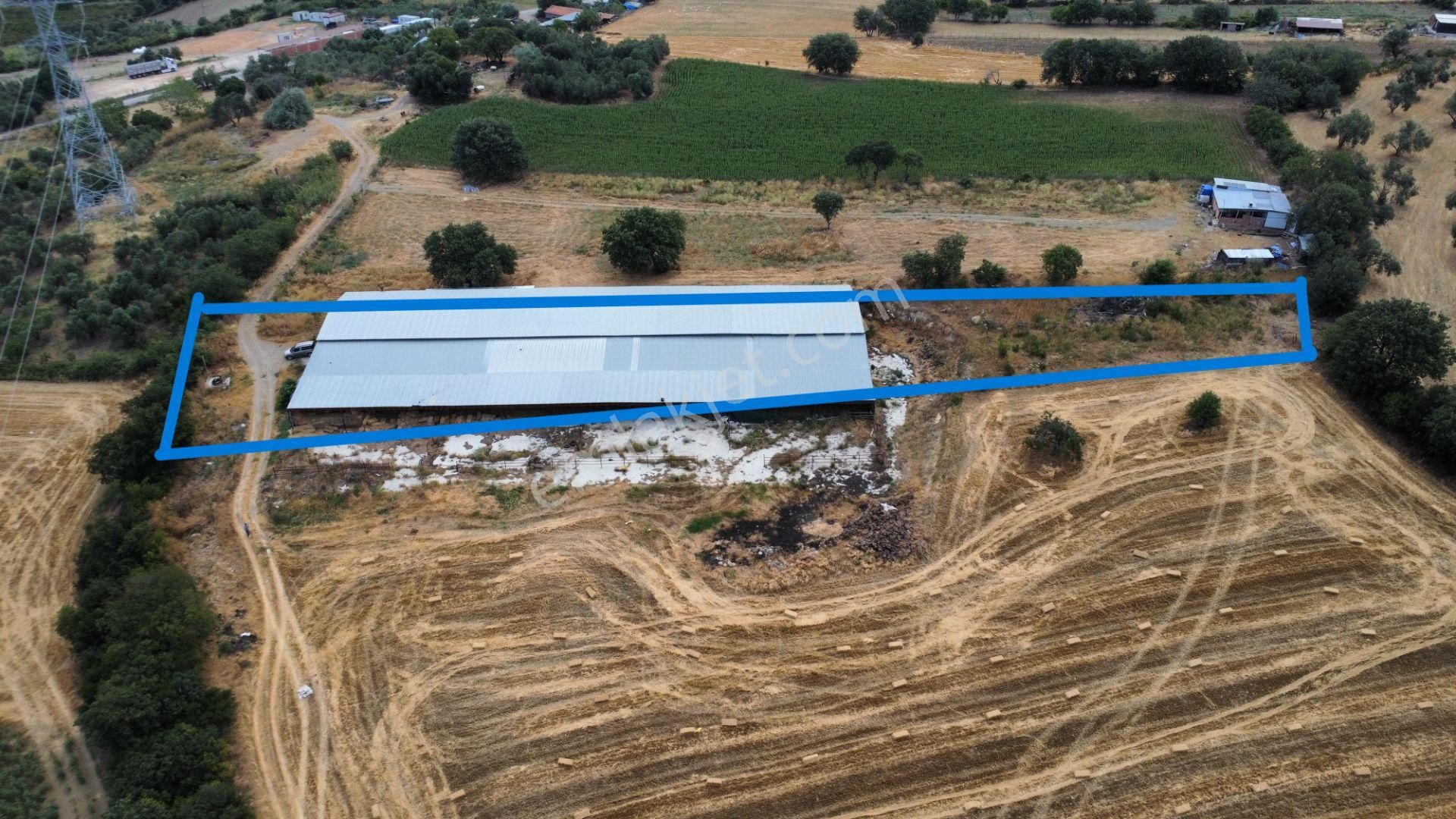 Musaköyde 3750 M2 Satılık Satılık Çiftlik Han Emlak'tan - Görsel 2