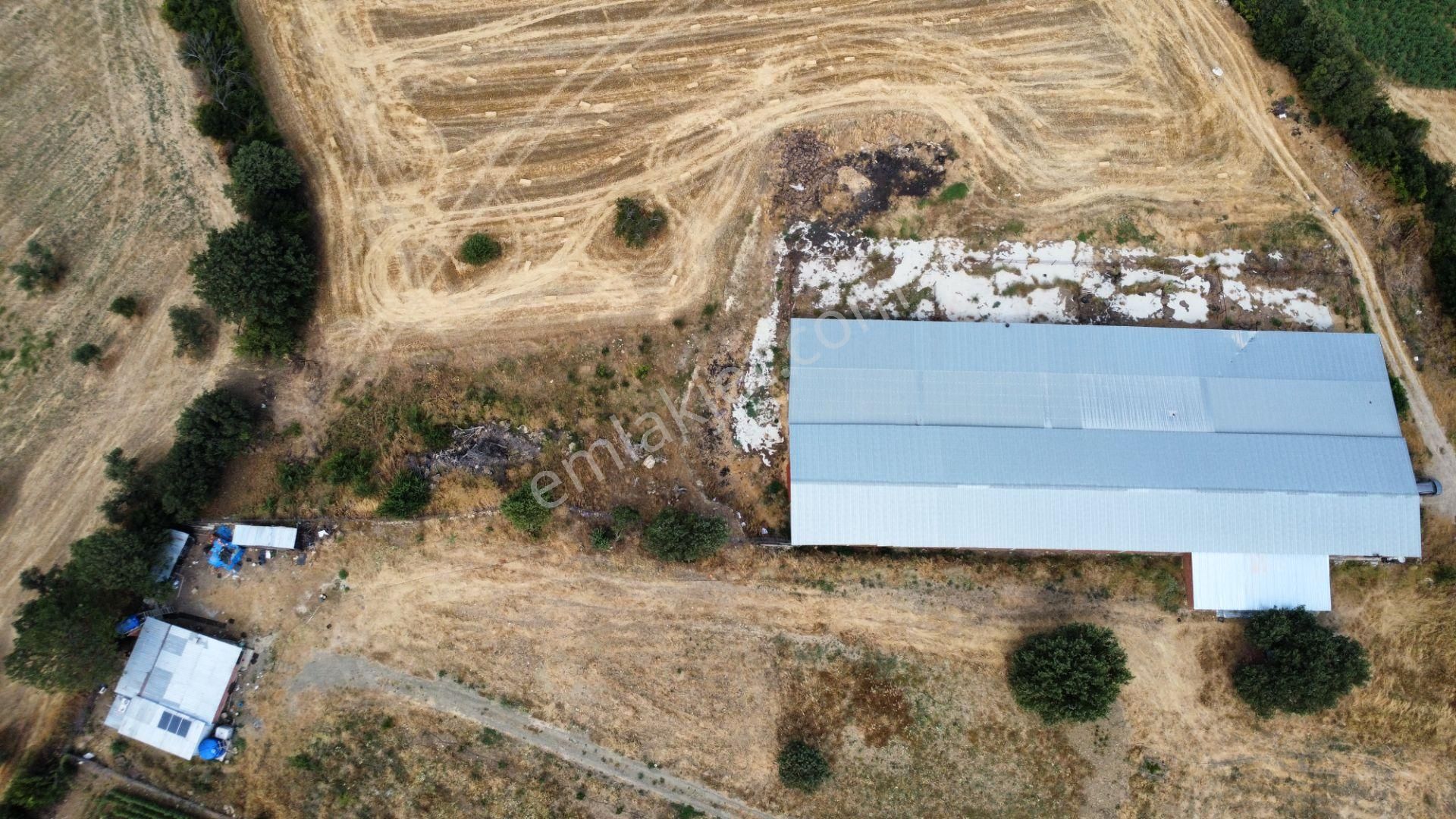 Musaköyde 3750 M2 Satılık Satılık Çiftlik Han Emlak'tan - Görsel 33