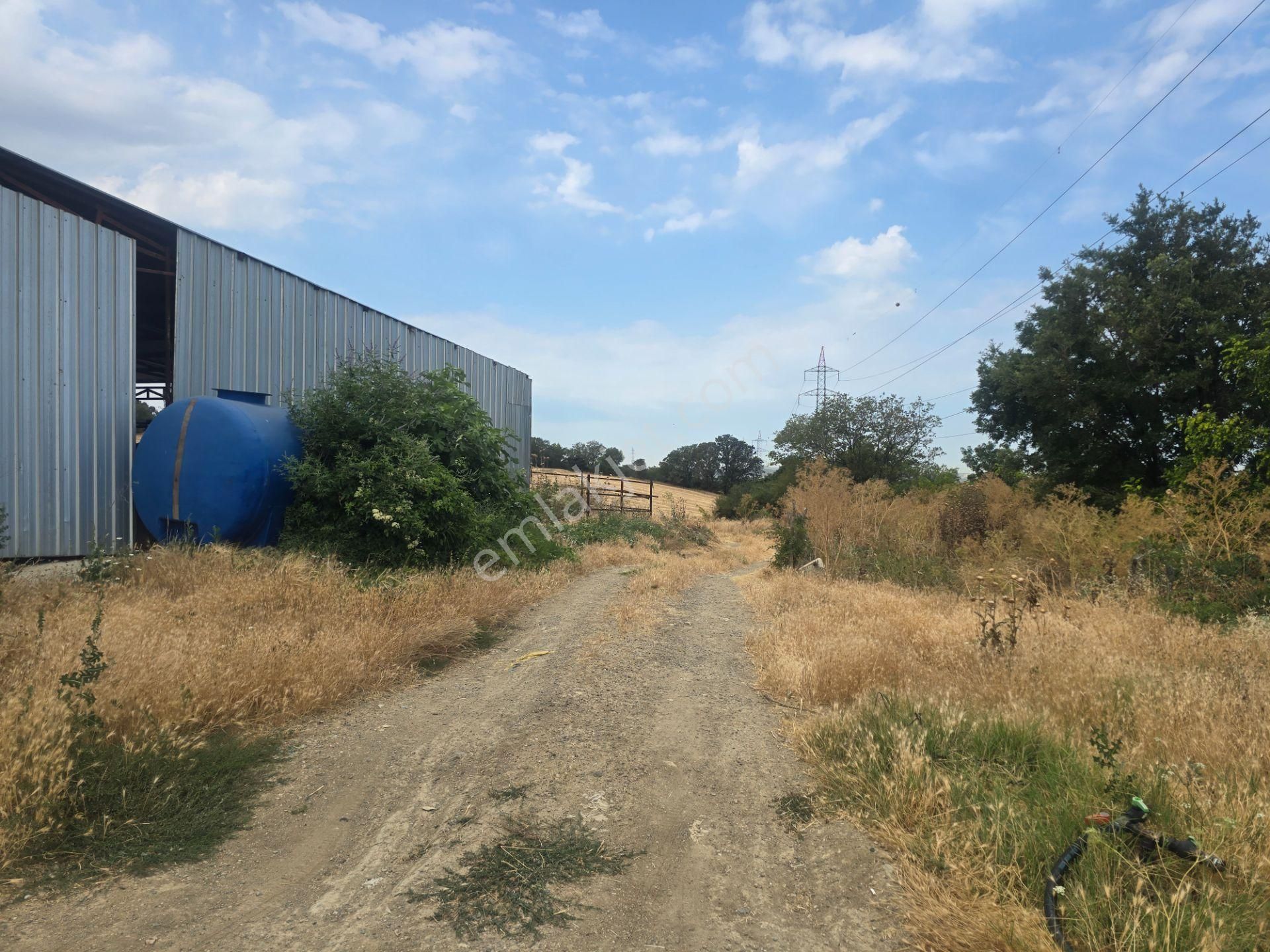 Musaköyde 3750 M2 Satılık Satılık Çiftlik Han Emlak'tan - Görsel 15