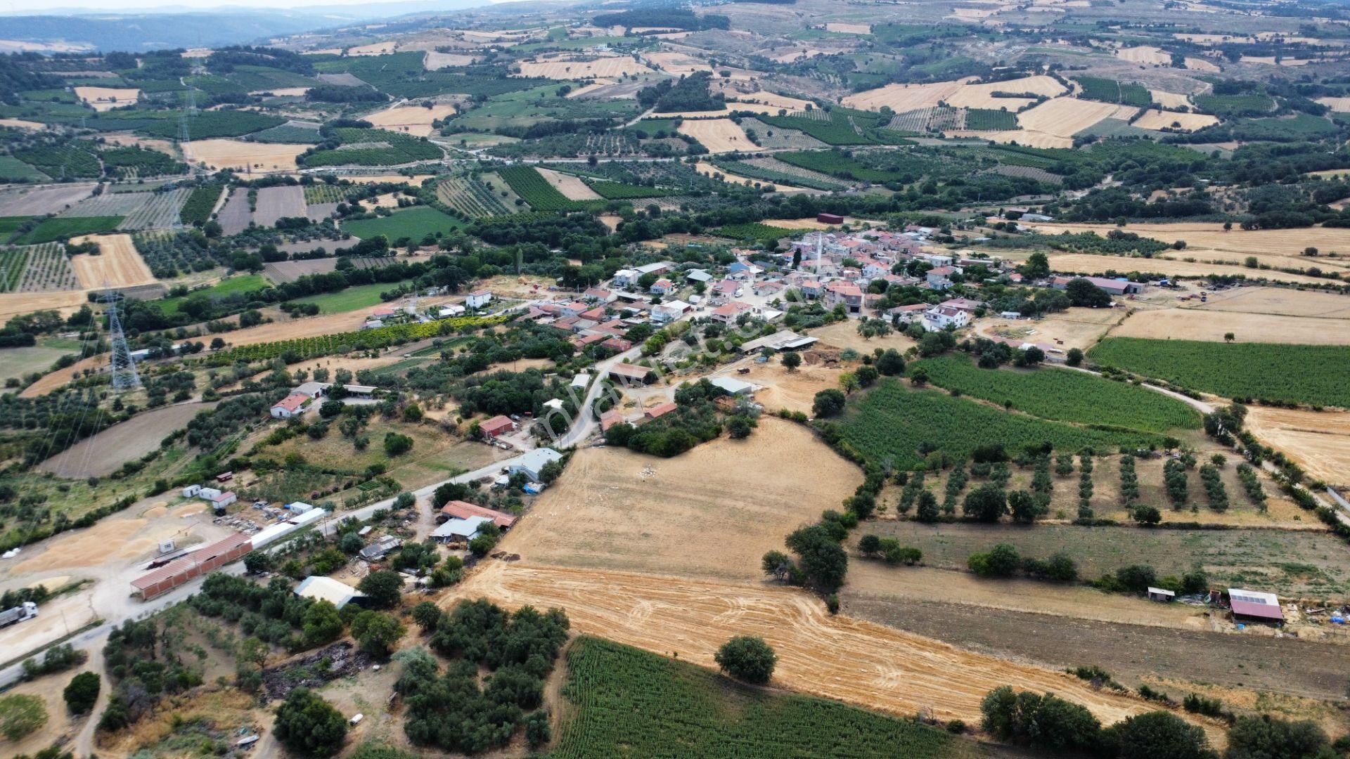 Musaköyde 3750 M2 Satılık Satılık Çiftlik Han Emlak'tan - Görsel 20