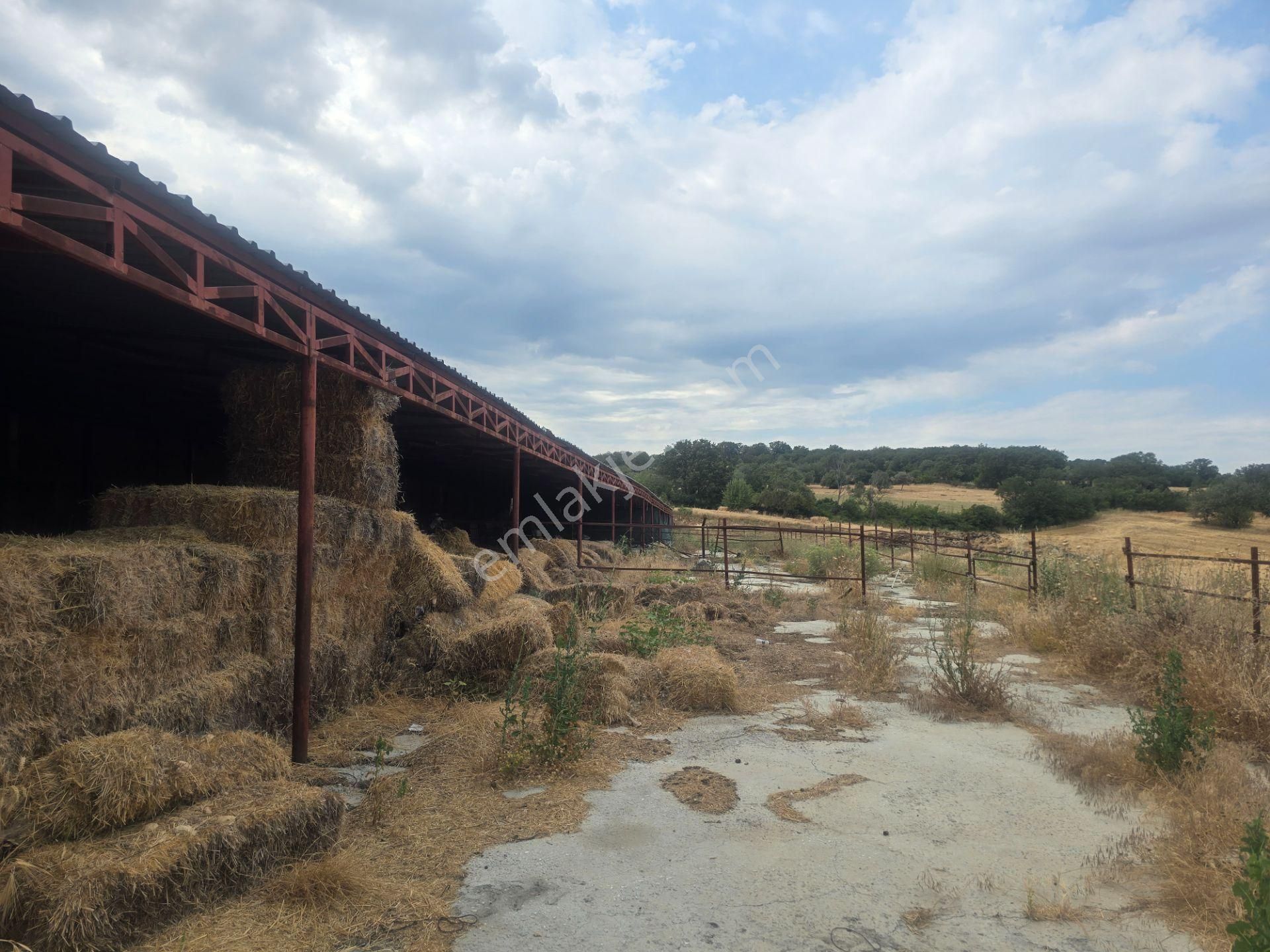 Musaköyde 3750 M2 Satılık Satılık Çiftlik Han Emlak'tan - Görsel 18