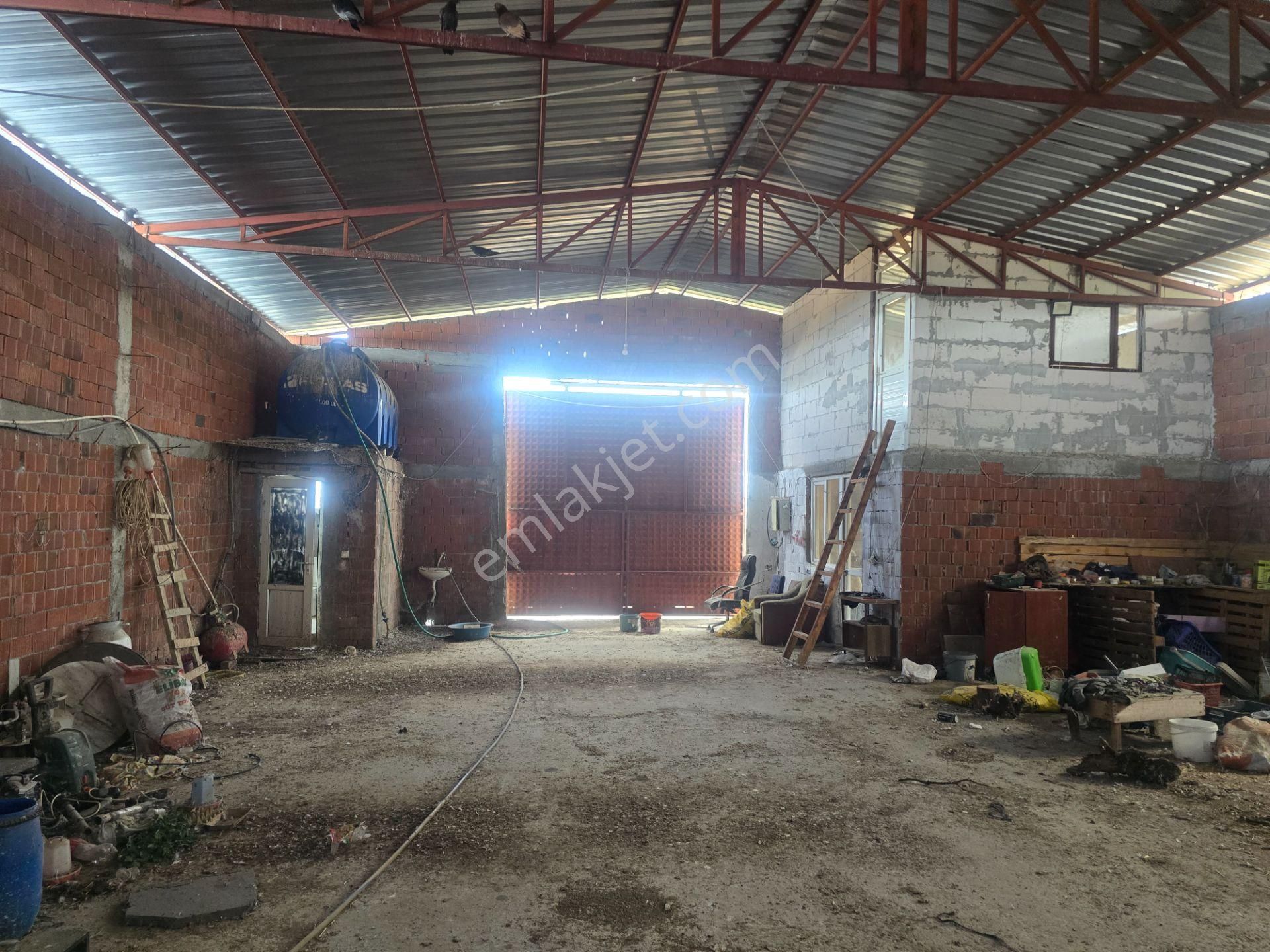 Musaköyde 3750 M2 Satılık Satılık Çiftlik Han Emlak'tan - Görsel 9