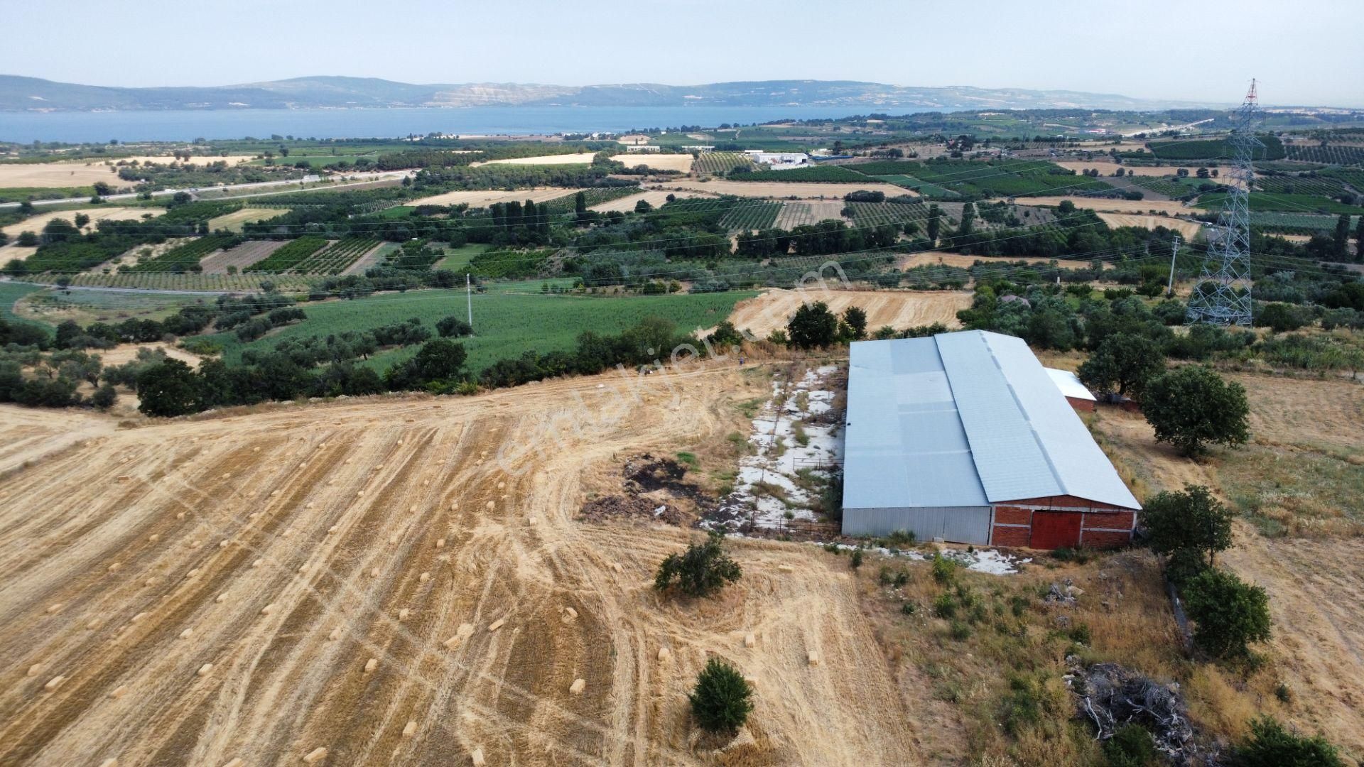 Musaköyde 3750 M2 Satılık Satılık Çiftlik Han Emlak'tan - Görsel 31