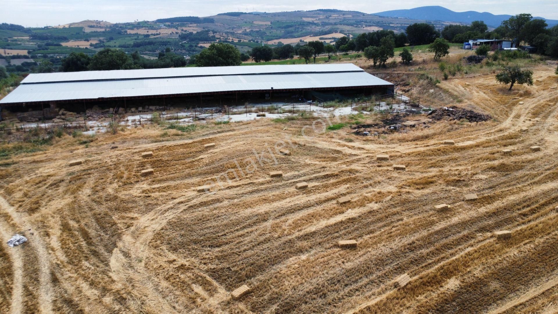 Musaköyde 3750 M2 Satılık Satılık Çiftlik Han Emlak'tan - Görsel 26