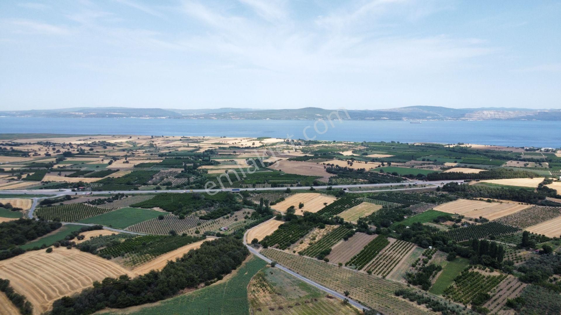 Musaköyde 3750 M2 Satılık Satılık Çiftlik Han Emlak'tan - Görsel 22